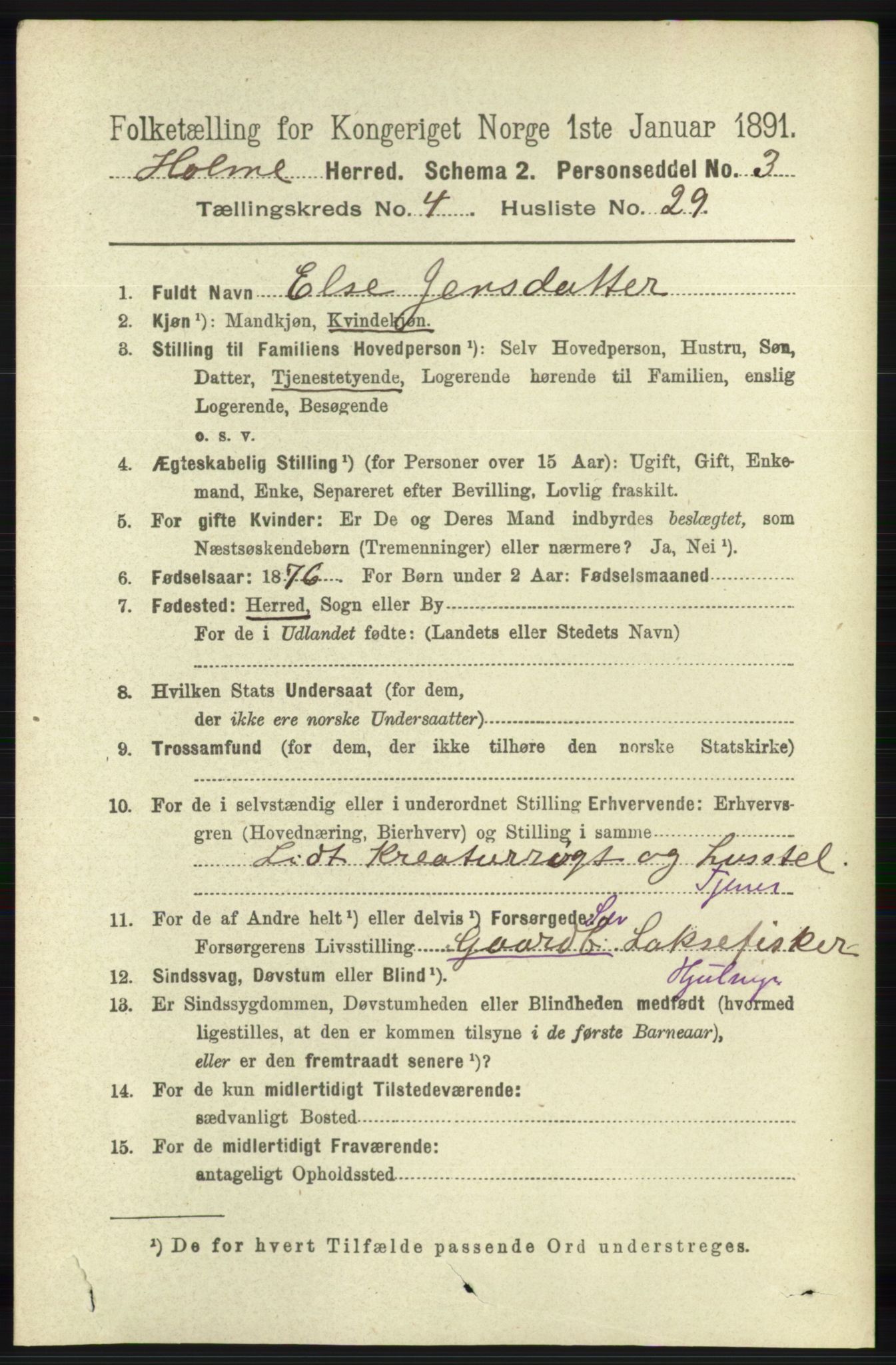 RA, 1891 census for 1020 Holum, 1891, p. 1173