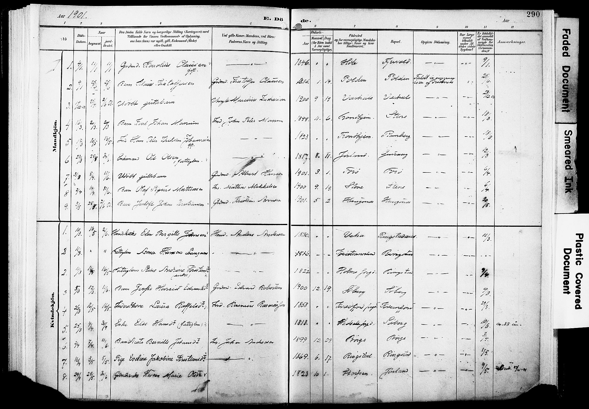 Ministerialprotokoller, klokkerbøker og fødselsregistre - Nordland, AV/SAT-A-1459/891/L1305: Parish register (official) no. 891A10, 1895-1921, p. 290
