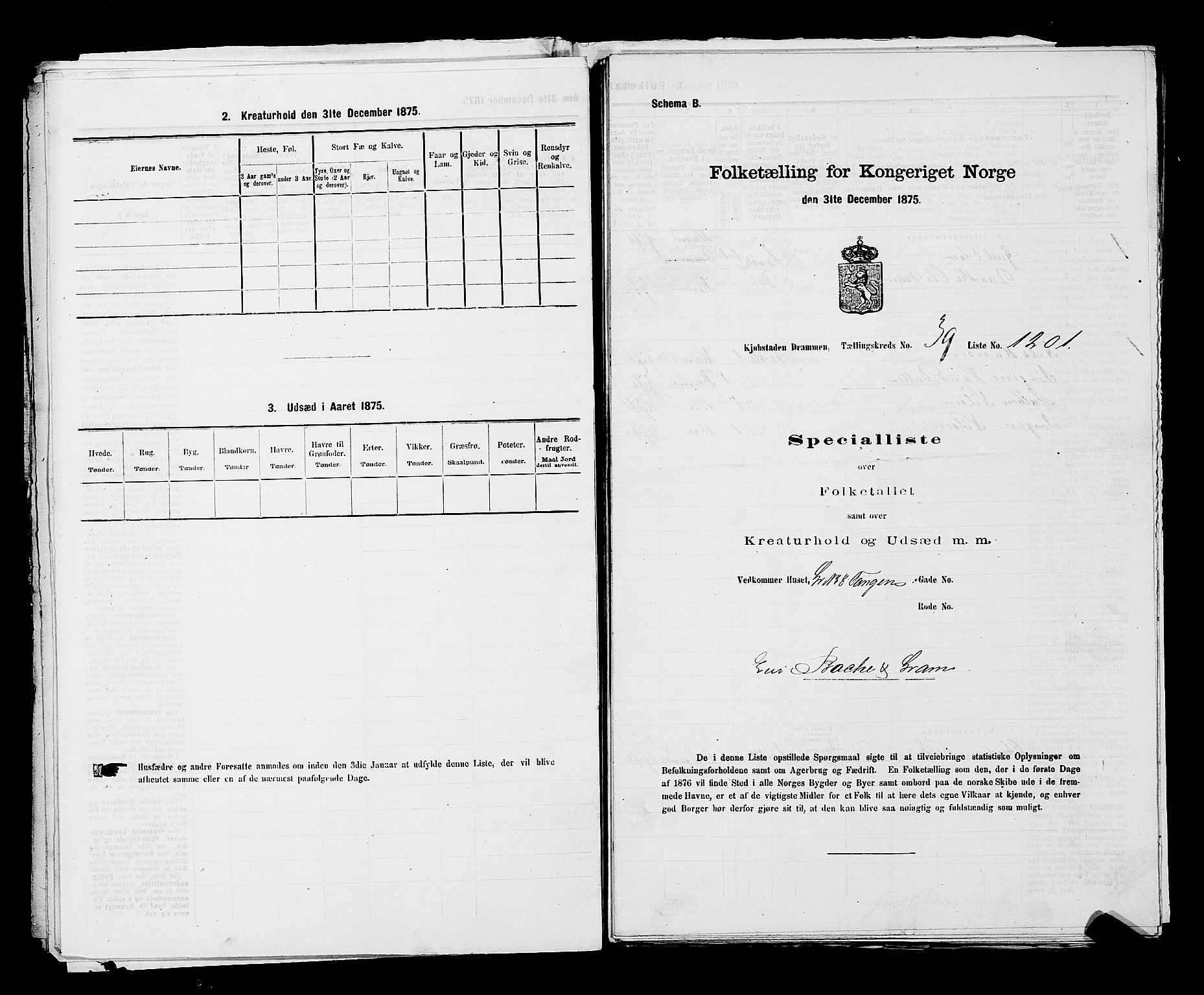 SAKO, 1875 census for 0602 Drammen, 1875, p. 3321