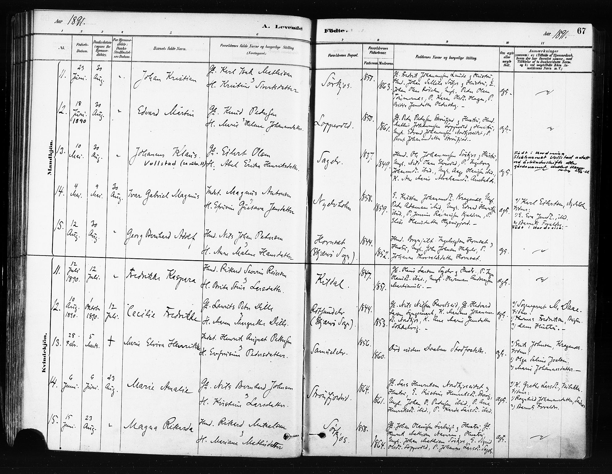 Skjervøy sokneprestkontor, AV/SATØ-S-1300/H/Ha/Haa/L0014kirke: Parish register (official) no. 14, 1878-1894, p. 67