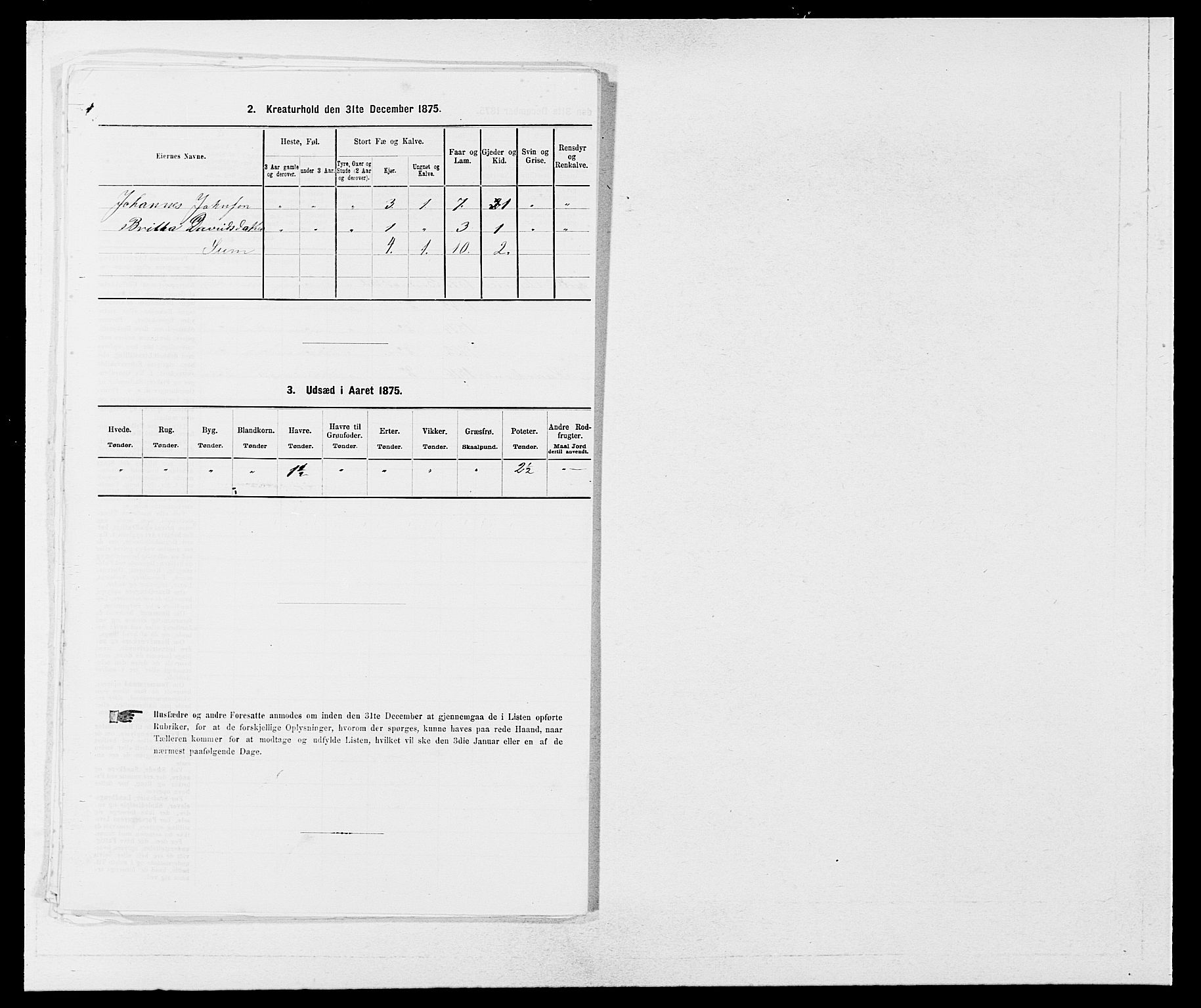 SAB, 1875 census for 1251P Bruvik, 1875, p. 435