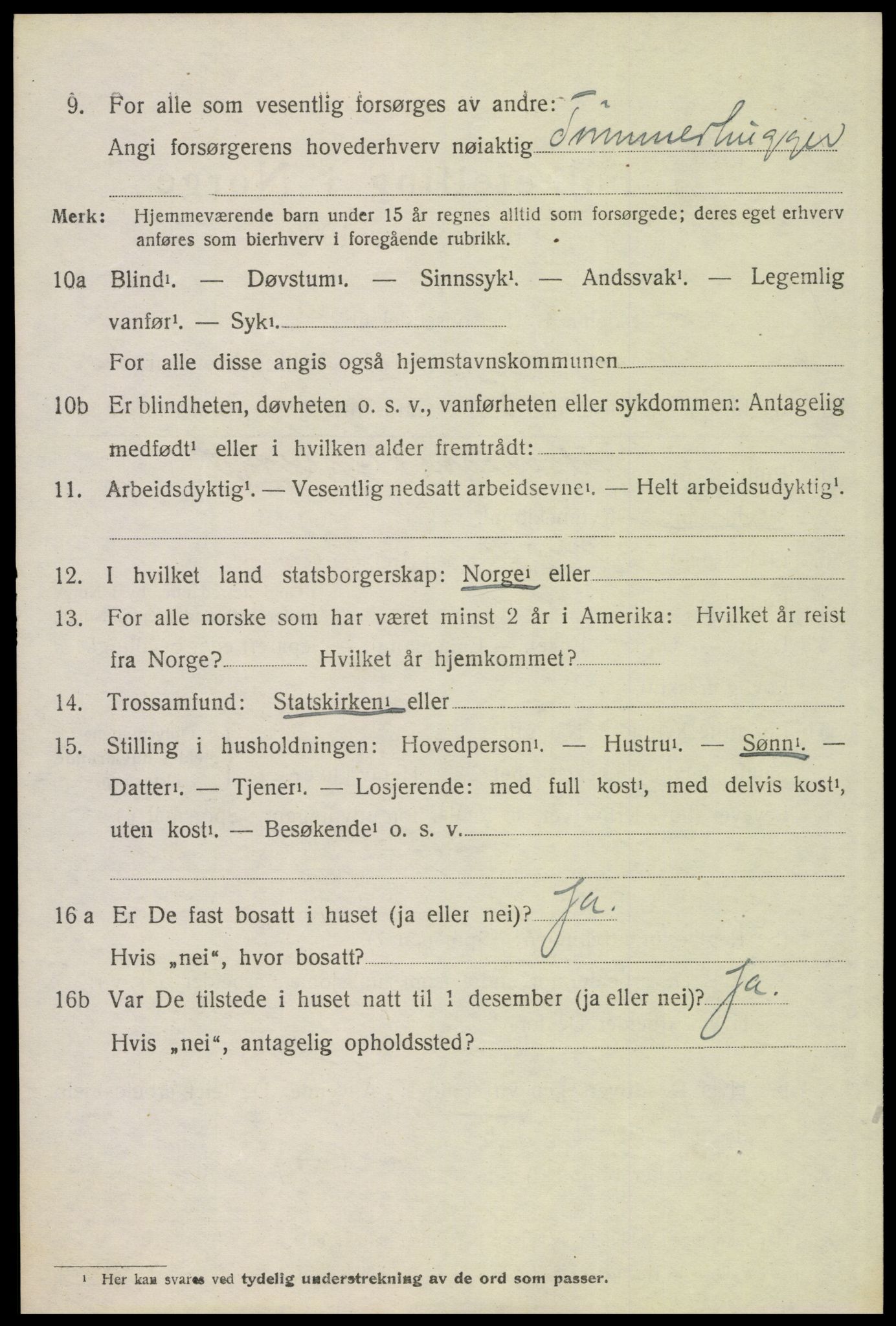 SAH, 1920 census for Trysil, 1920, p. 9500