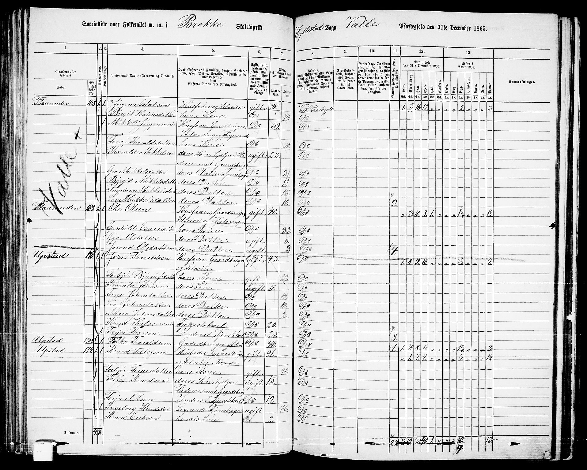 RA, 1865 census for Valle, 1865, p. 99