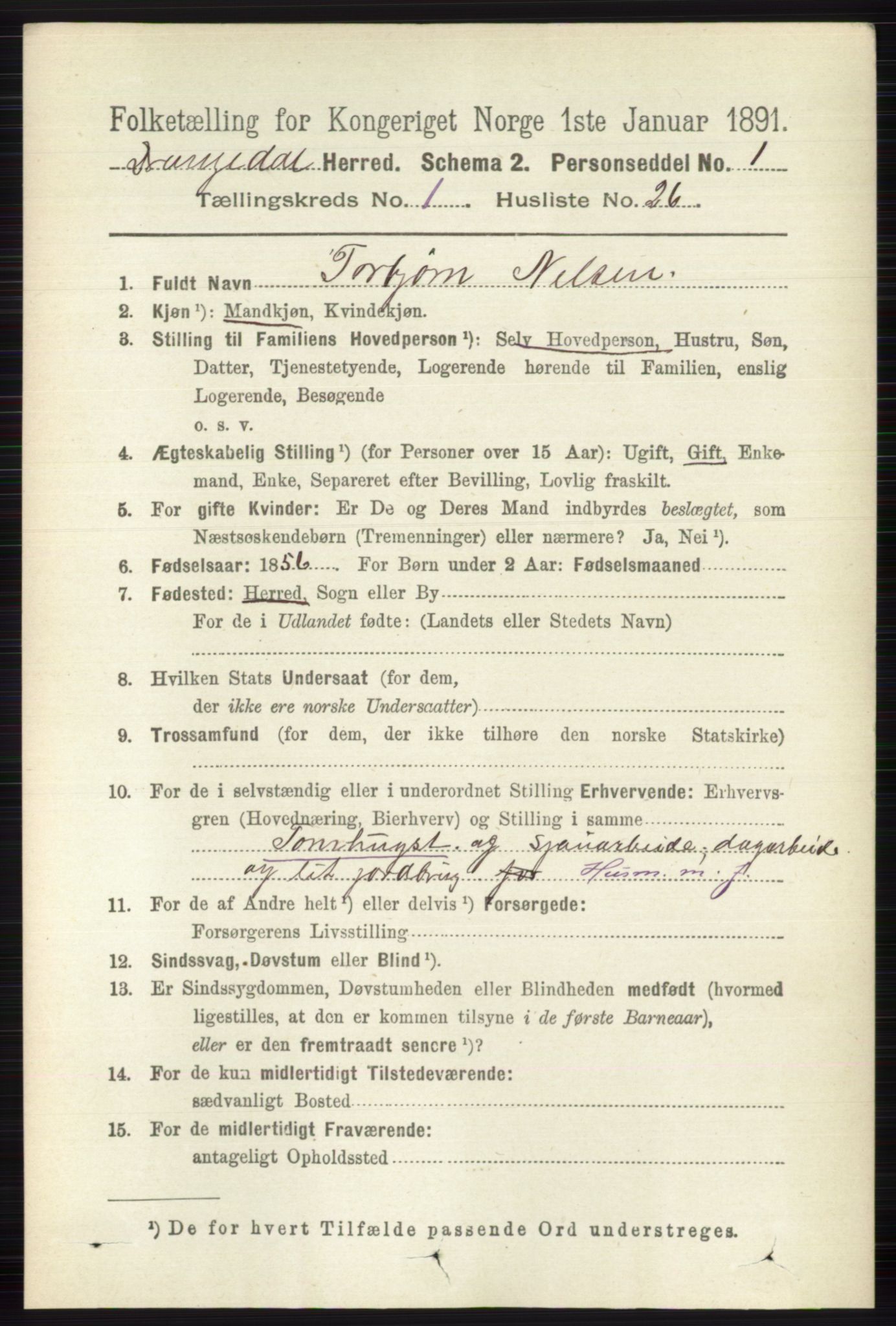 RA, 1891 census for 0817 Drangedal, 1891, p. 229