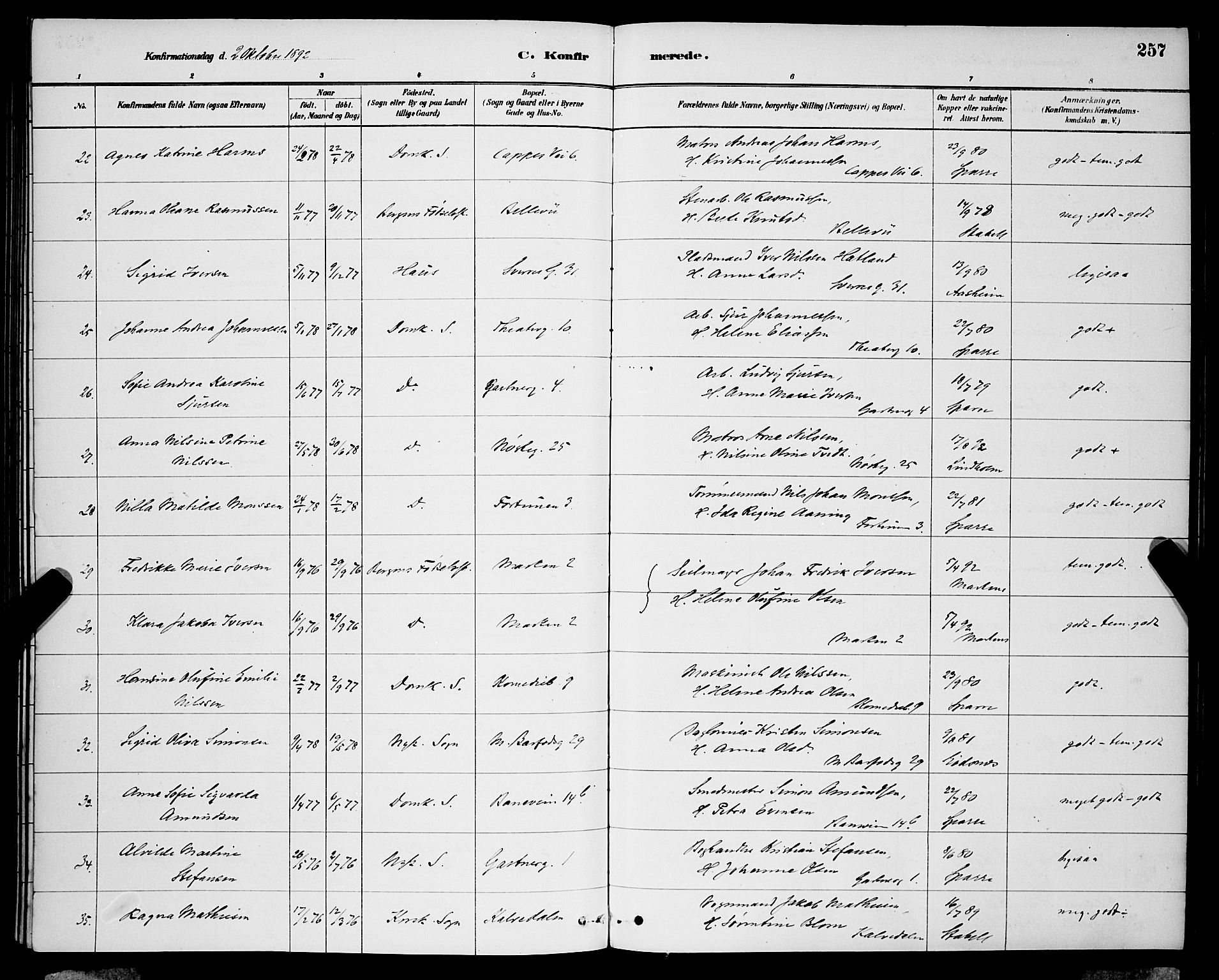 Domkirken sokneprestembete, AV/SAB-A-74801/H/Hab/L0024: Parish register (copy) no. C 4, 1880-1899, p. 257