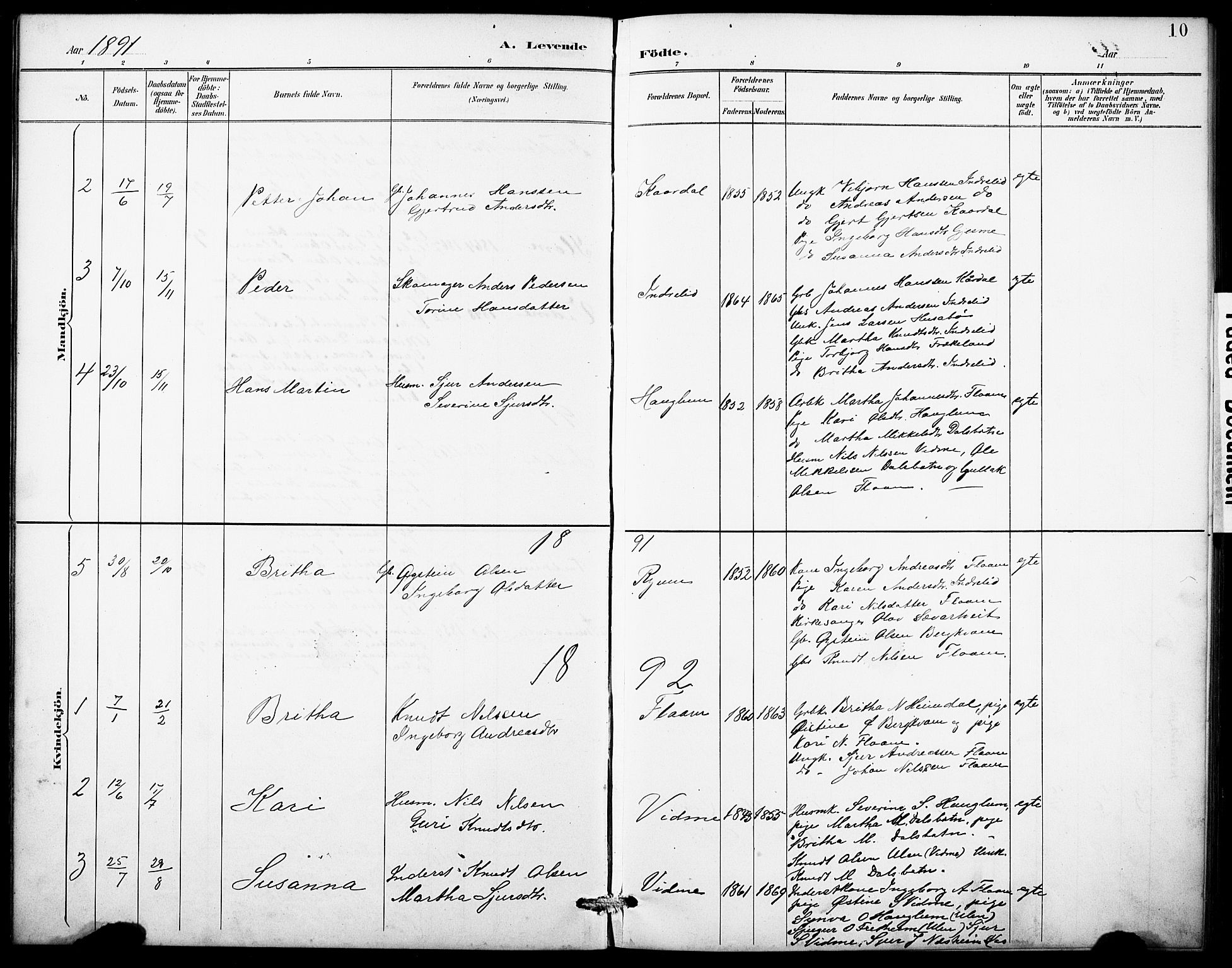 Aurland sokneprestembete, SAB/A-99937/H/Hb/Hbb/L0002: Parish register (copy) no. B 2, 1887-1929, p. 10