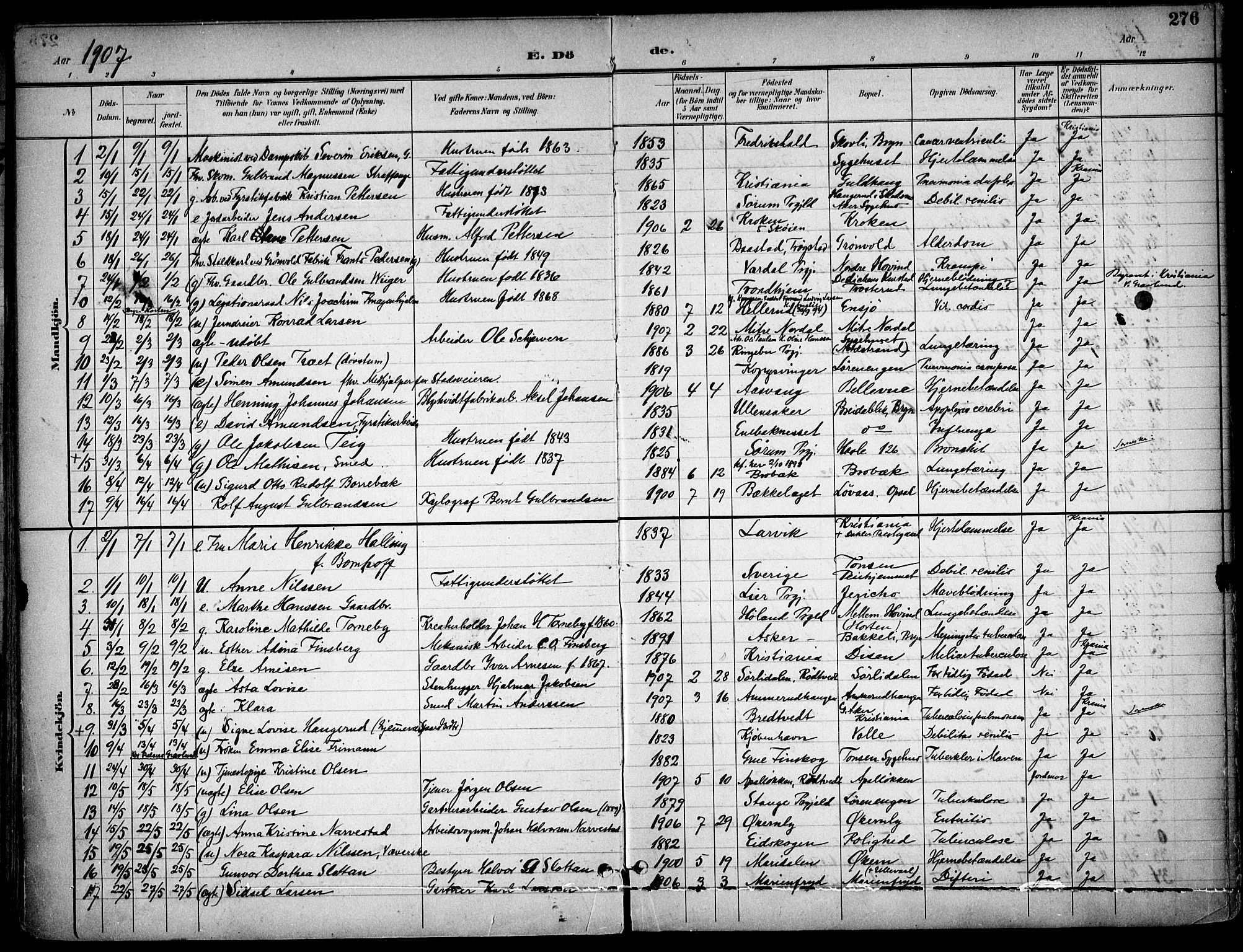 Østre Aker prestekontor Kirkebøker, SAO/A-10840/F/Fa/L0011: Parish register (official) no. I 11, 1895-1917, p. 276