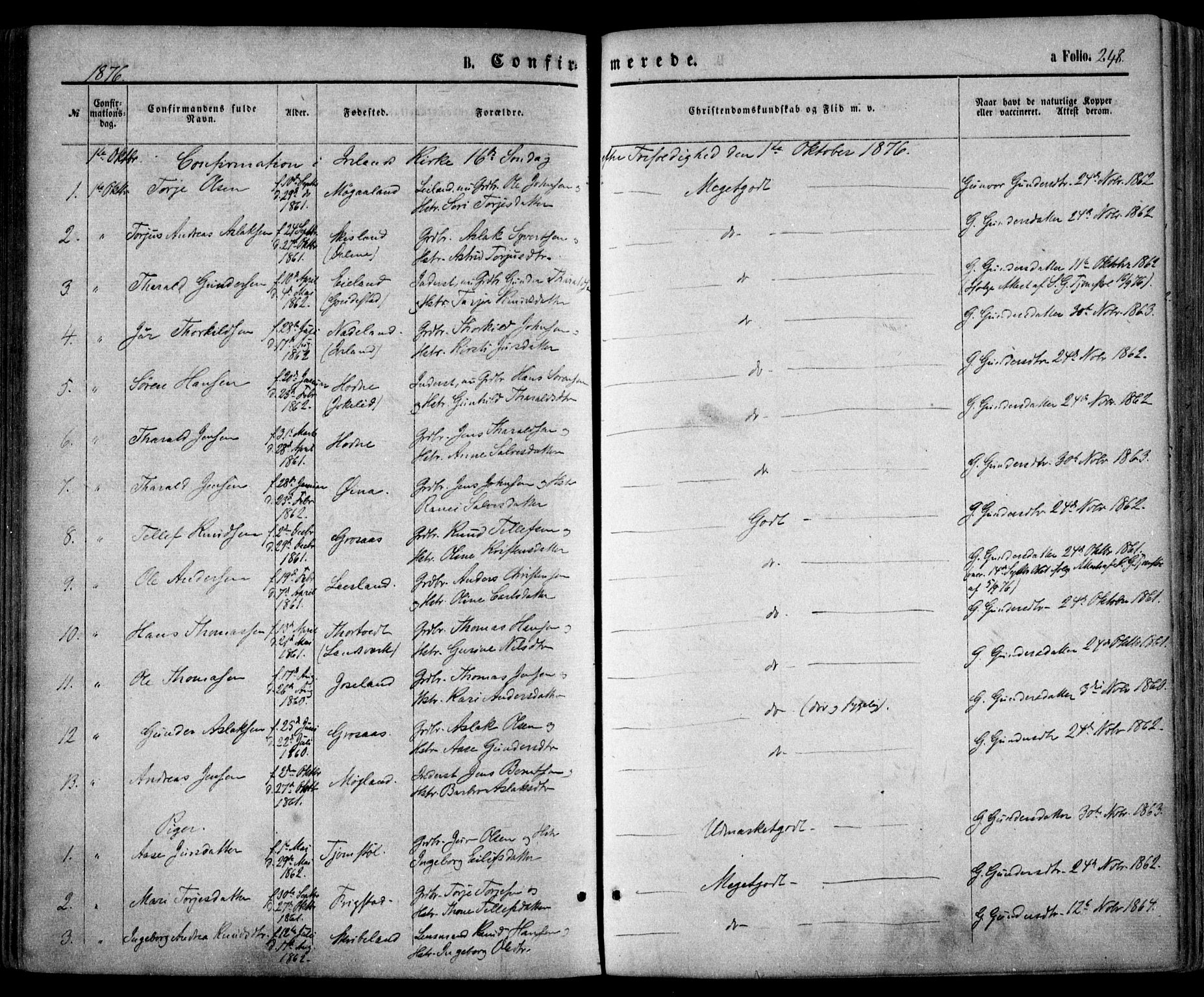 Evje sokneprestkontor, AV/SAK-1111-0008/F/Fa/Faa/L0006: Parish register (official) no. A 6, 1866-1884, p. 249