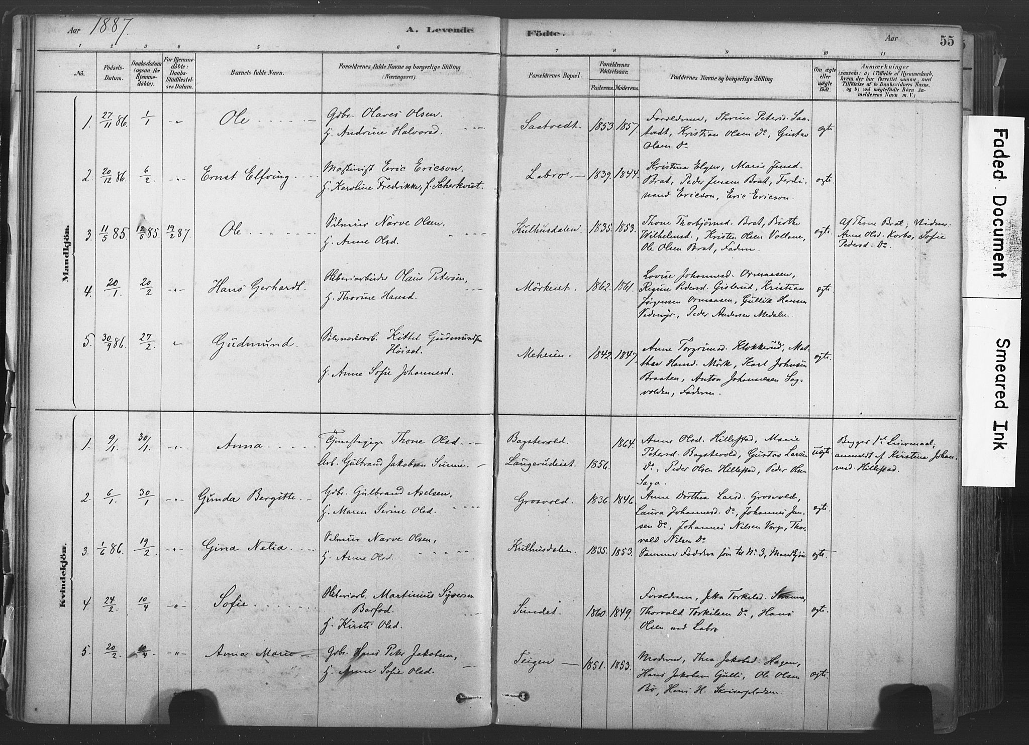 Sandsvær kirkebøker, AV/SAKO-A-244/F/Fd/L0001: Parish register (official) no. IV 1, 1878-1906, p. 55