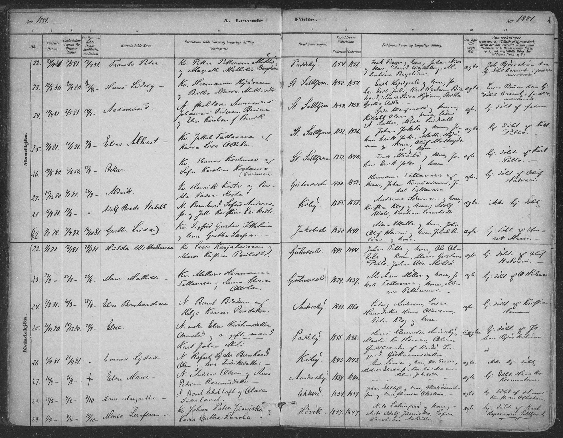 Vadsø sokneprestkontor, AV/SATØ-S-1325/H/Ha/L0009kirke: Parish register (official) no. 9, 1881-1917, p. 4