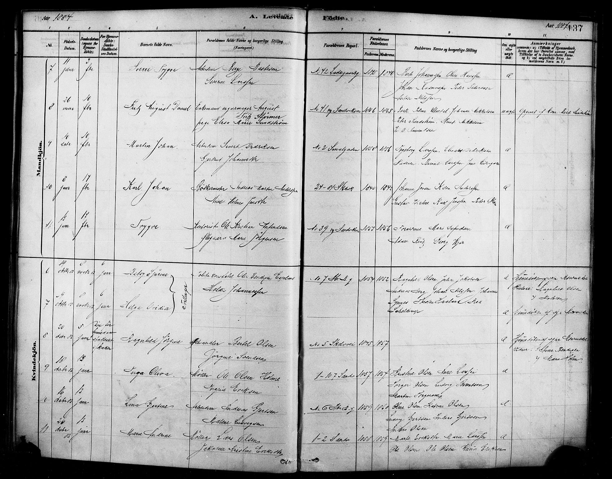 Sandviken Sokneprestembete, AV/SAB-A-77601/H/Ha/L0004: Parish register (official) no. B 1, 1878-1891, p. 137