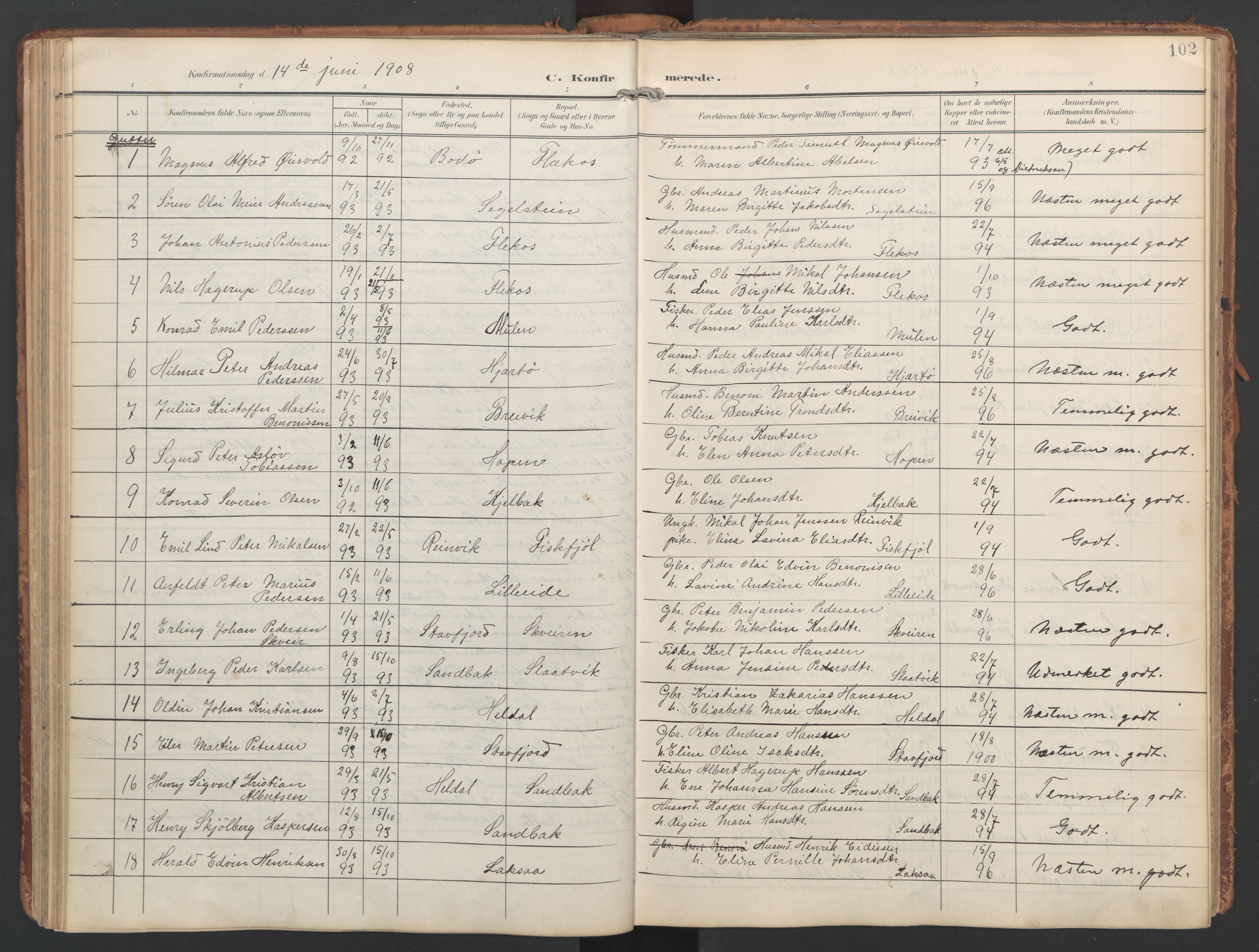 Ministerialprotokoller, klokkerbøker og fødselsregistre - Nordland, AV/SAT-A-1459/858/L0832: Parish register (official) no. 858A02, 1902-1915, p. 102