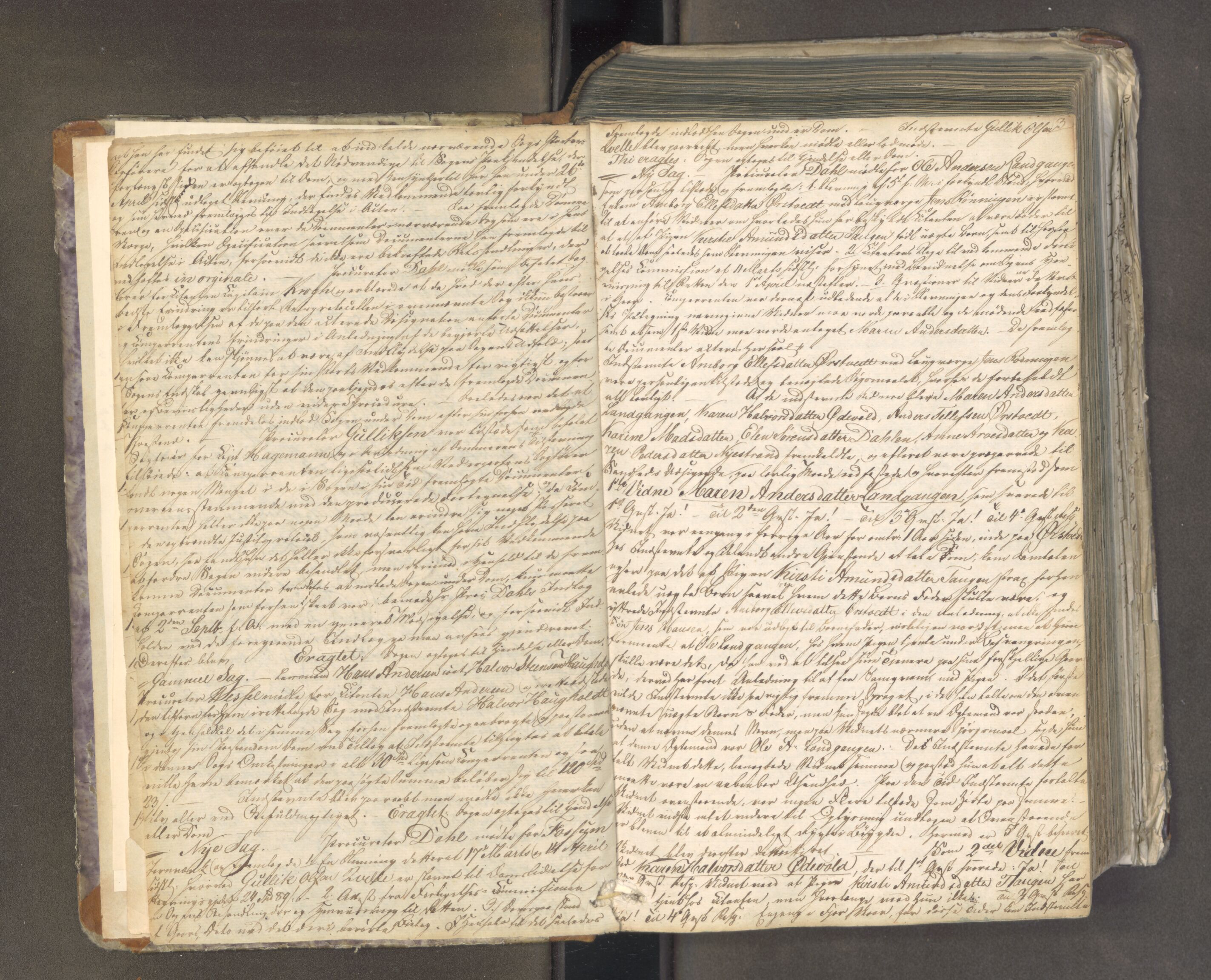 Bamble sorenskriveri, AV/SAKO-A-214/F/Fa/Faa/L0028: Tingbok, 1824-1831, p. 2b-3a