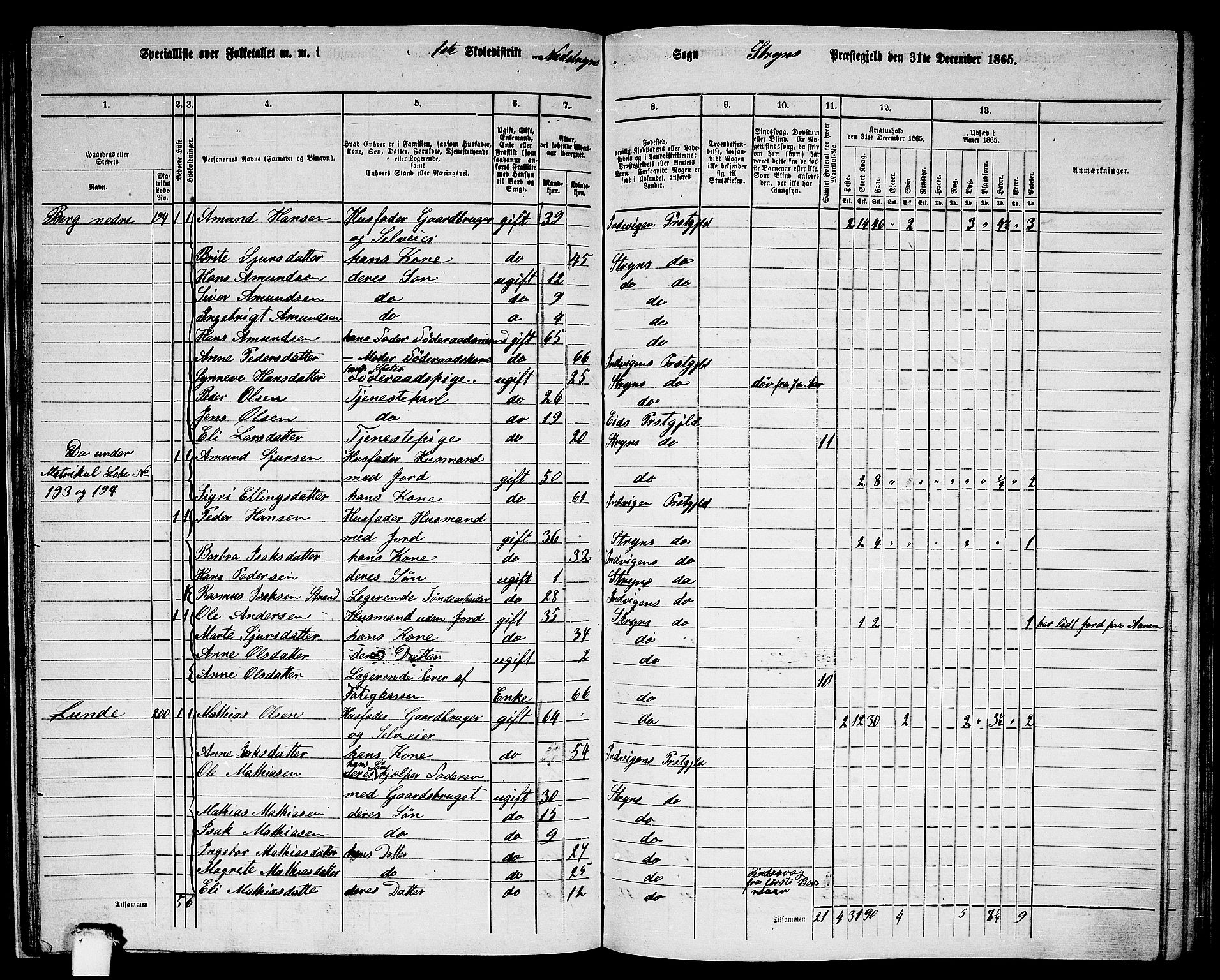RA, 1865 census for Stryn, 1865, p. 49