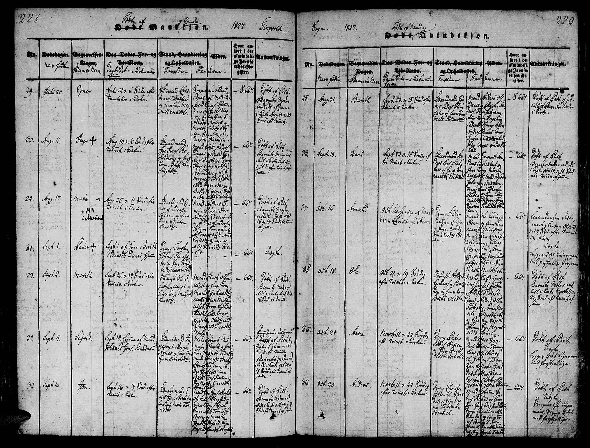 Ministerialprotokoller, klokkerbøker og fødselsregistre - Møre og Romsdal, AV/SAT-A-1454/586/L0982: Parish register (official) no. 586A08, 1819-1829, p. 228-229