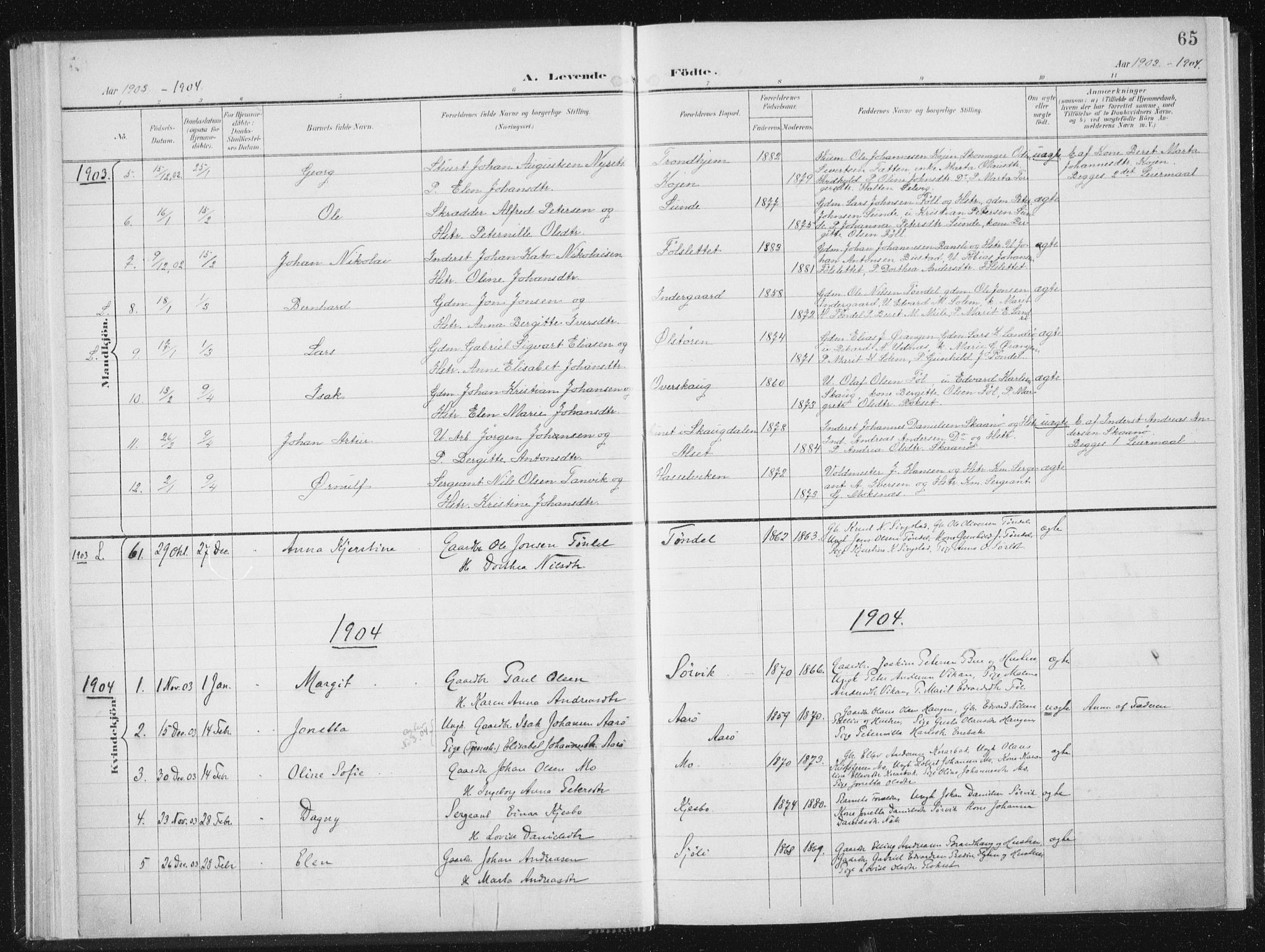 Ministerialprotokoller, klokkerbøker og fødselsregistre - Sør-Trøndelag, SAT/A-1456/647/L0635: Parish register (official) no. 647A02, 1896-1911, p. 65