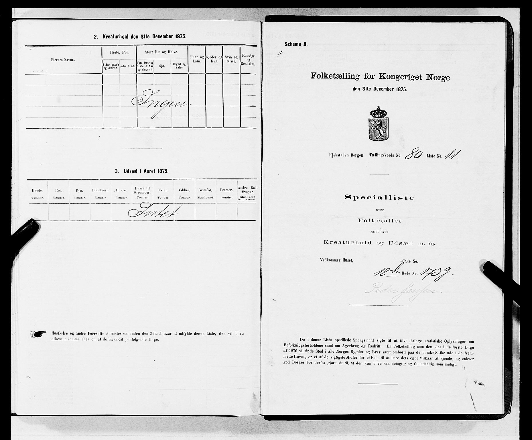 SAB, 1875 census for 1301 Bergen, 1875, p. 4305