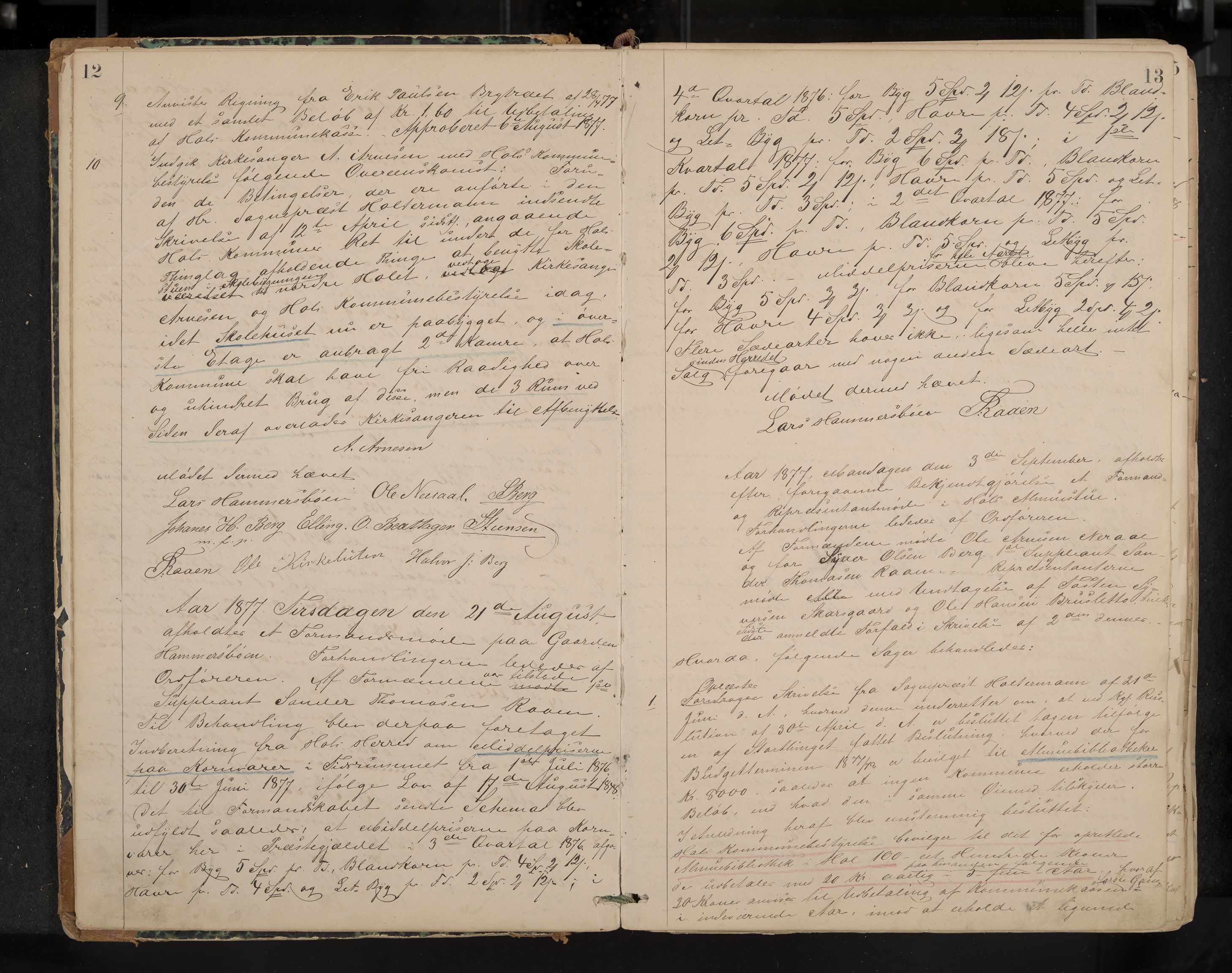 Hol formannskap og sentraladministrasjon, IKAK/0620021-1/A/L0001: Møtebok, 1877-1893, p. 12-13