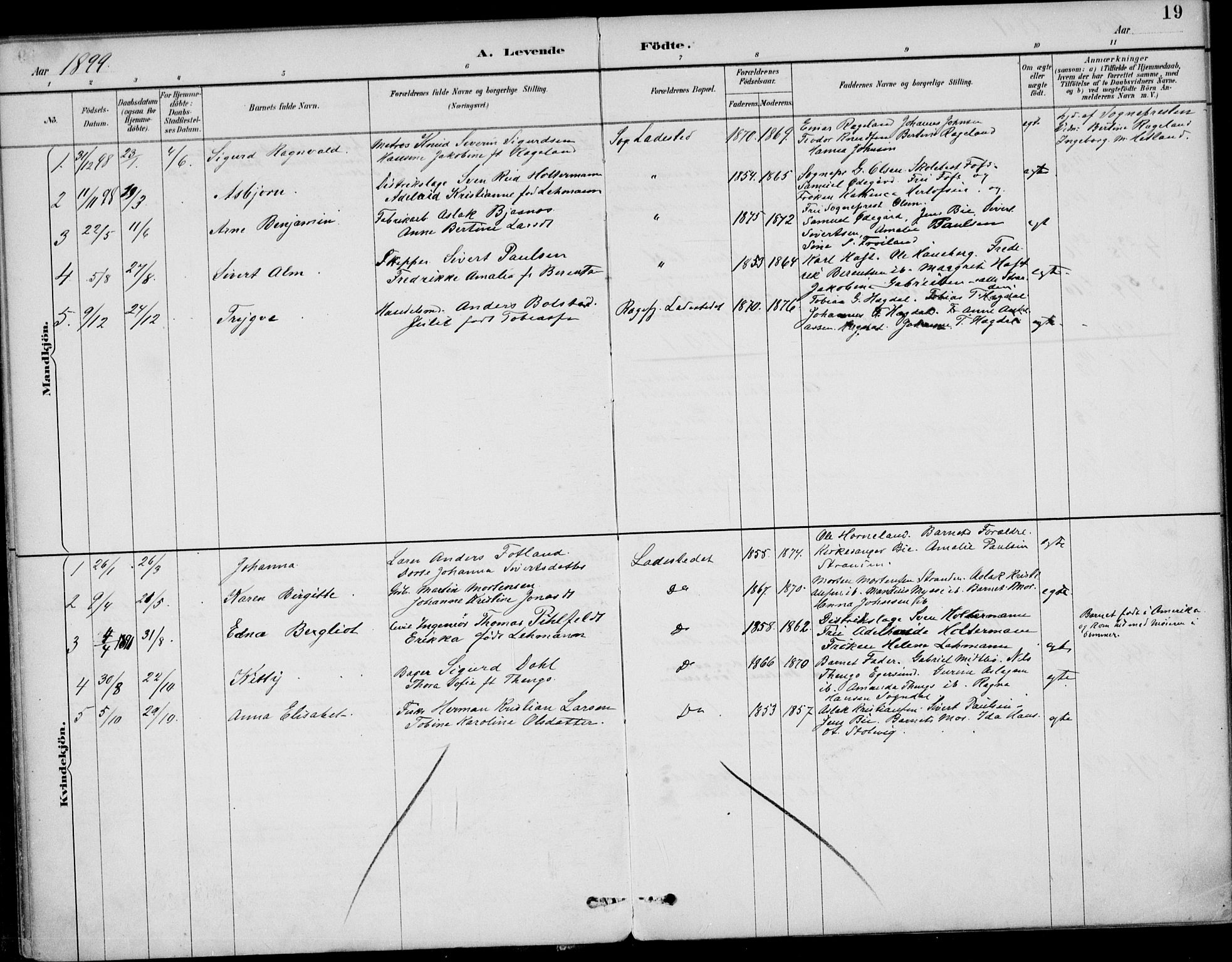 Sokndal sokneprestkontor, AV/SAST-A-101808: Parish register (official) no. A 12, 1887-1927, p. 19