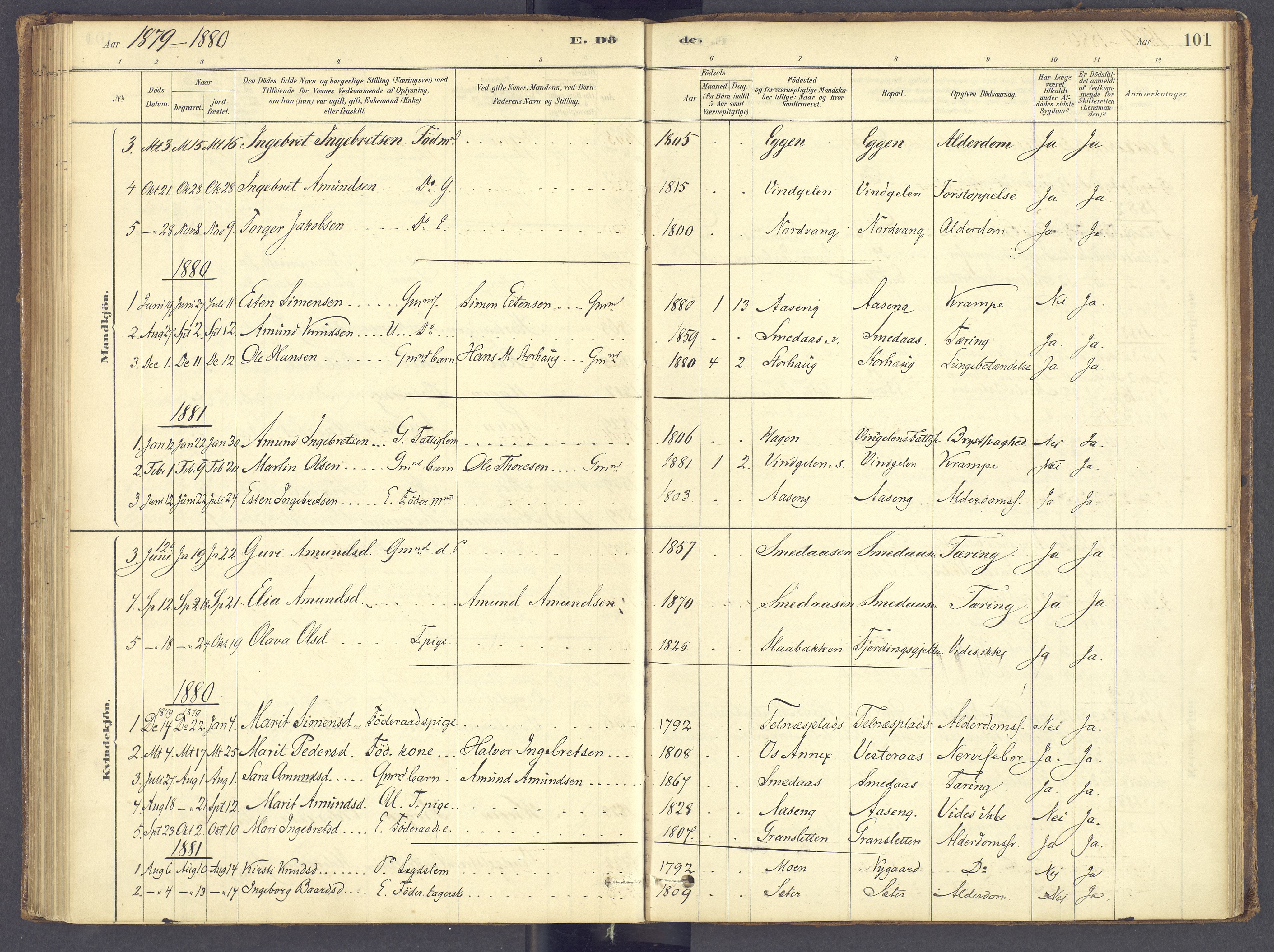 Tolga prestekontor, SAH/PREST-062/K/L0012: Parish register (official) no. 12, 1877-1925, p. 101
