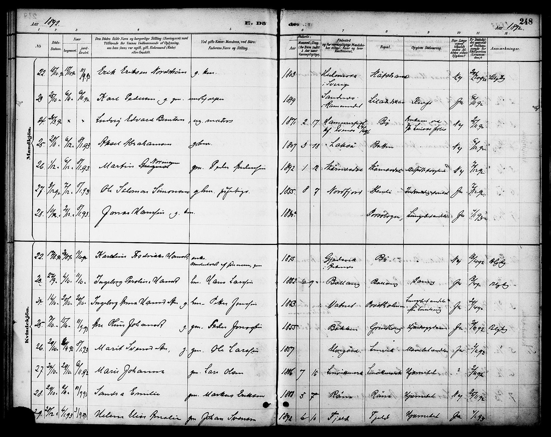 Ministerialprotokoller, klokkerbøker og fødselsregistre - Nordland, AV/SAT-A-1459/863/L0898: Parish register (official) no. 863A10, 1886-1897, p. 248