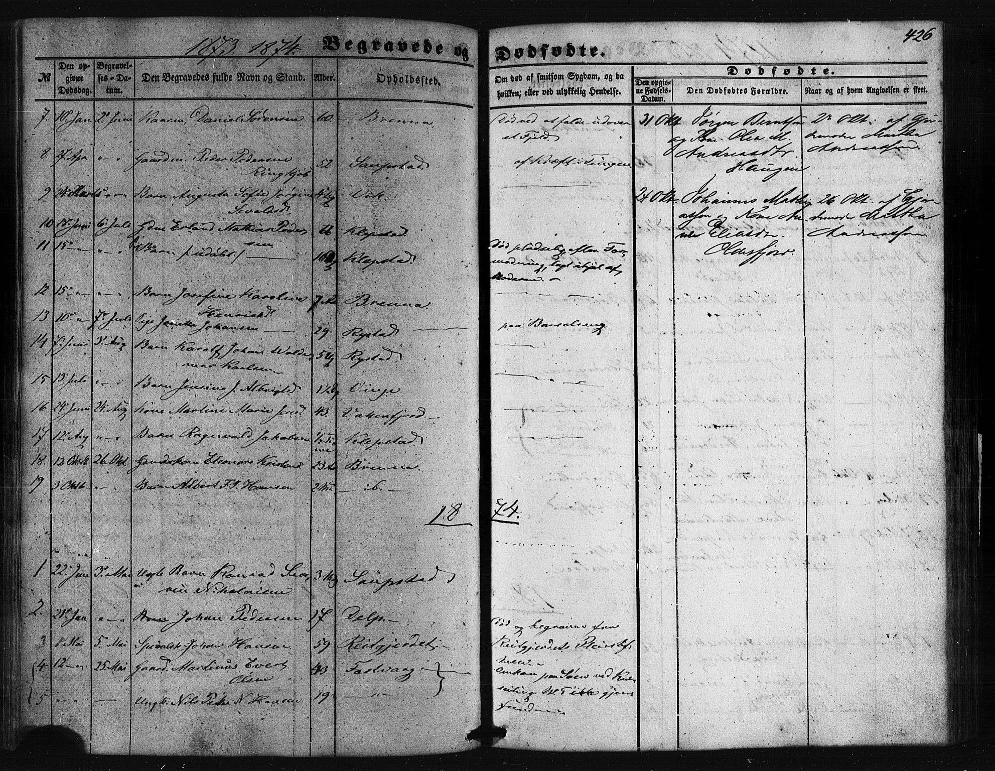 Ministerialprotokoller, klokkerbøker og fødselsregistre - Nordland, AV/SAT-A-1459/876/L1095: Parish register (official) no. 876A01, 1863-1885, p. 426