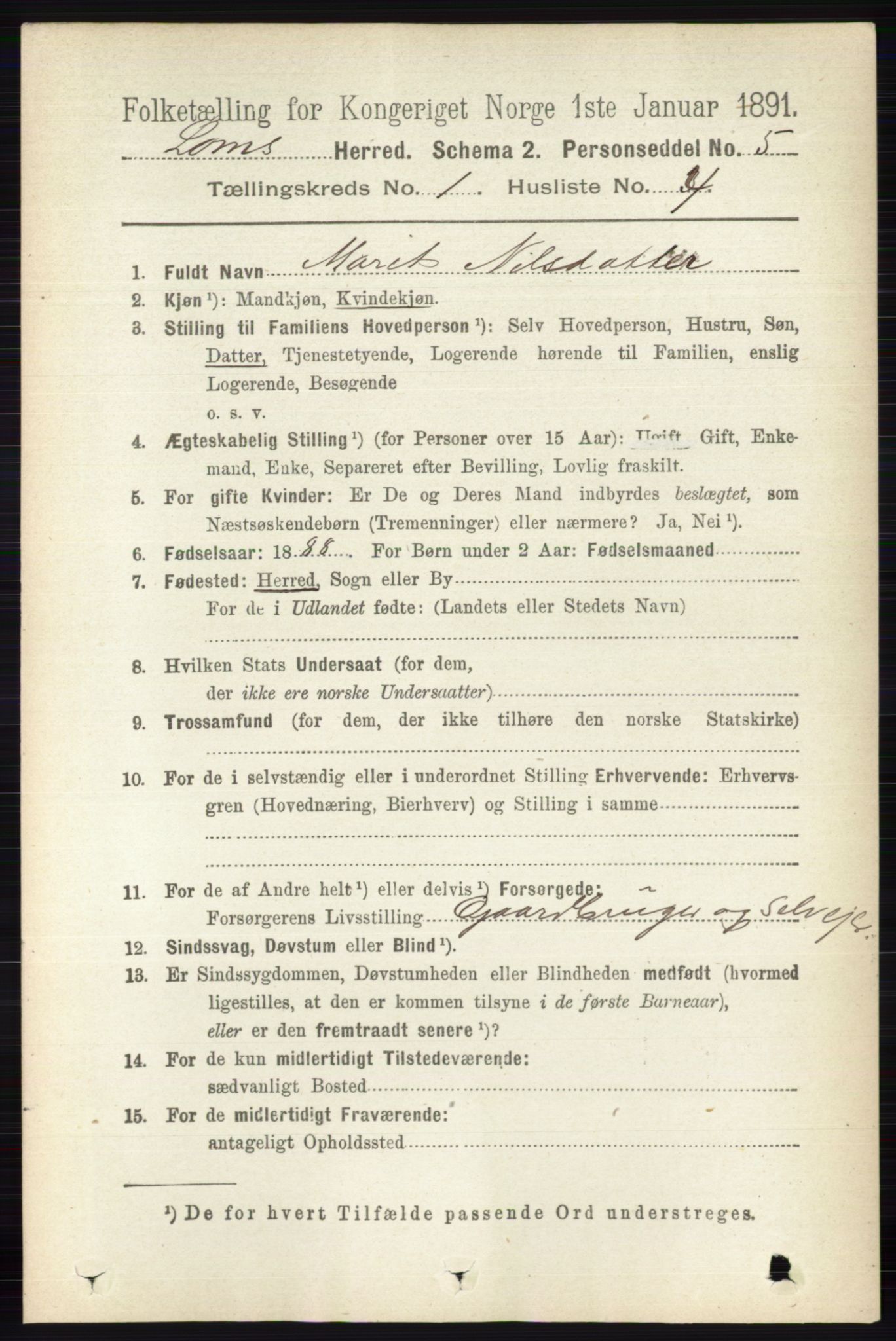 RA, 1891 census for 0514 Lom, 1891, p. 138