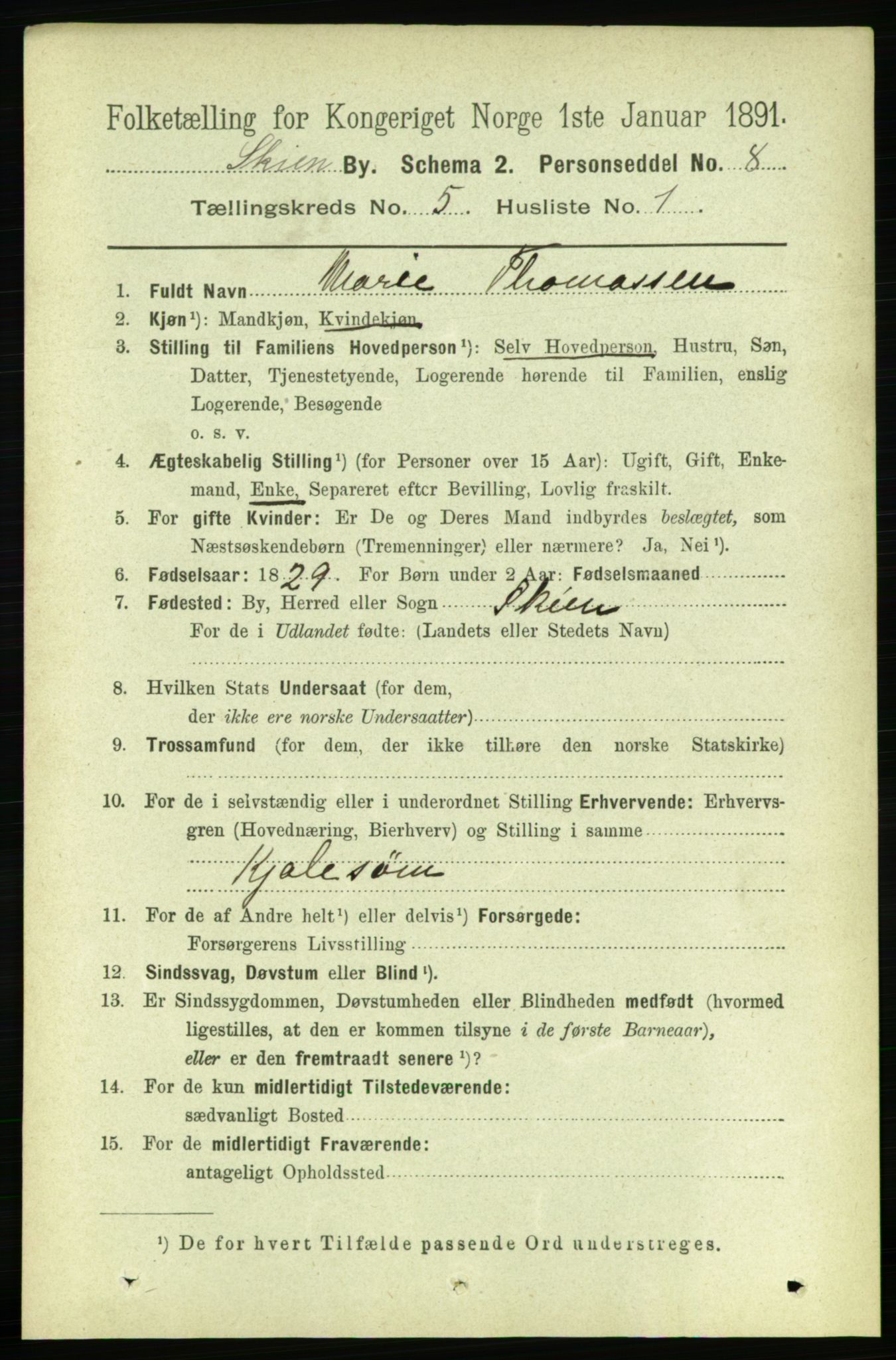 RA, 1891 census for 0806 Skien, 1891, p. 2888