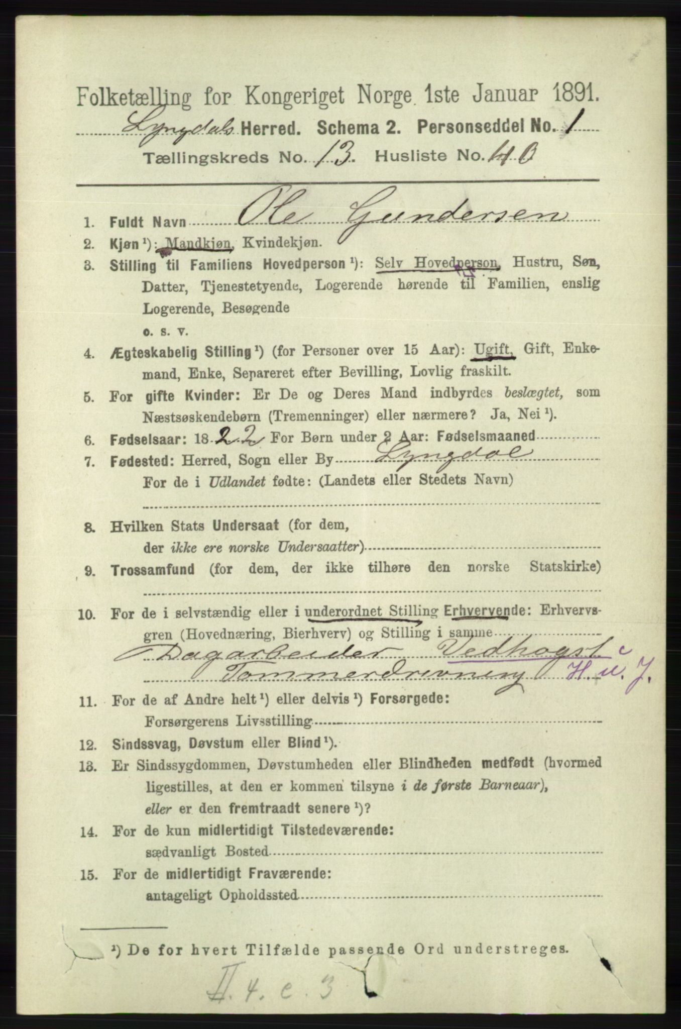 RA, 1891 census for 1032 Lyngdal, 1891, p. 5802