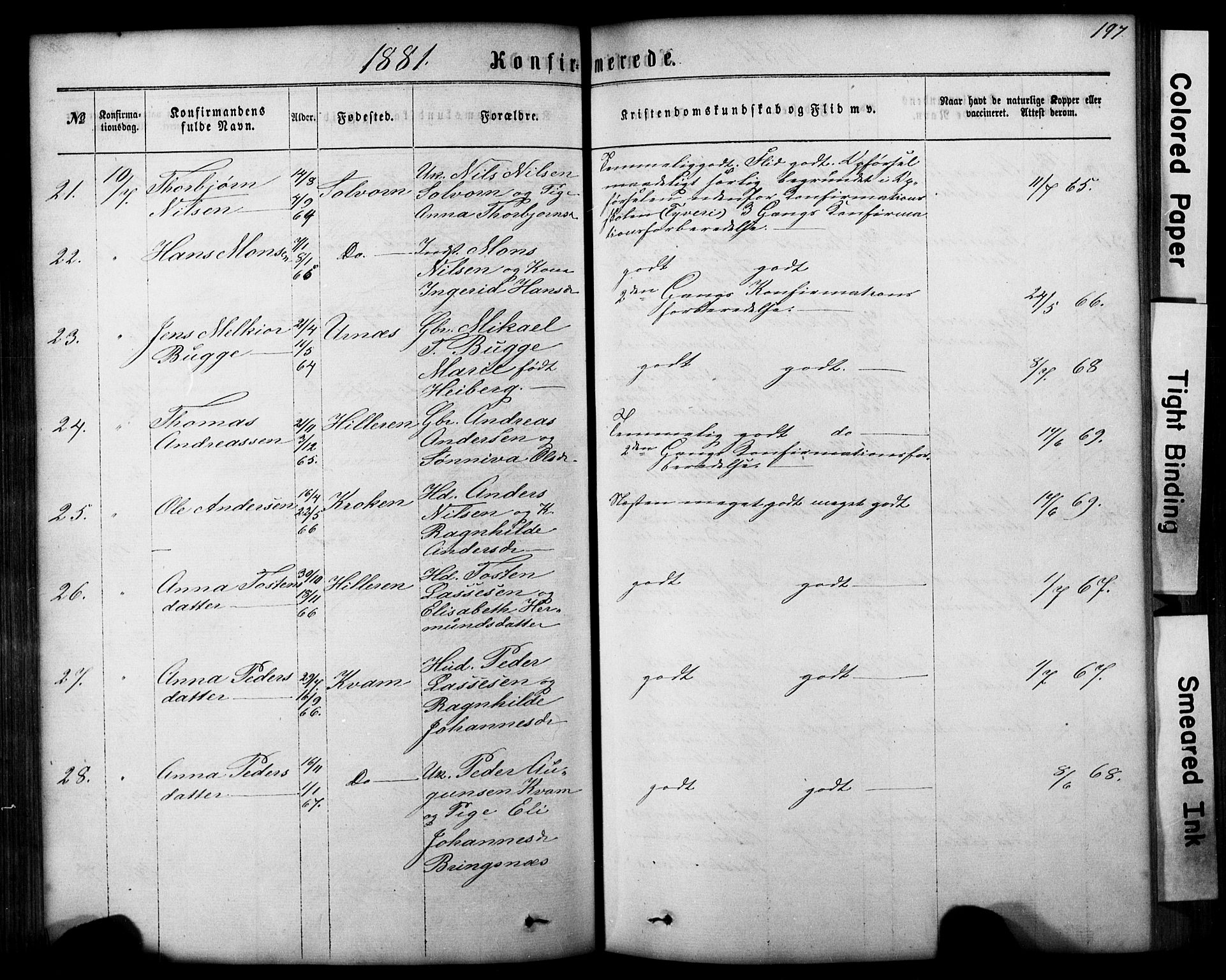 Hafslo sokneprestembete, AV/SAB-A-80301/H/Hab/Haba/L0001: Parish register (copy) no. A 1, 1866-1908, p. 197