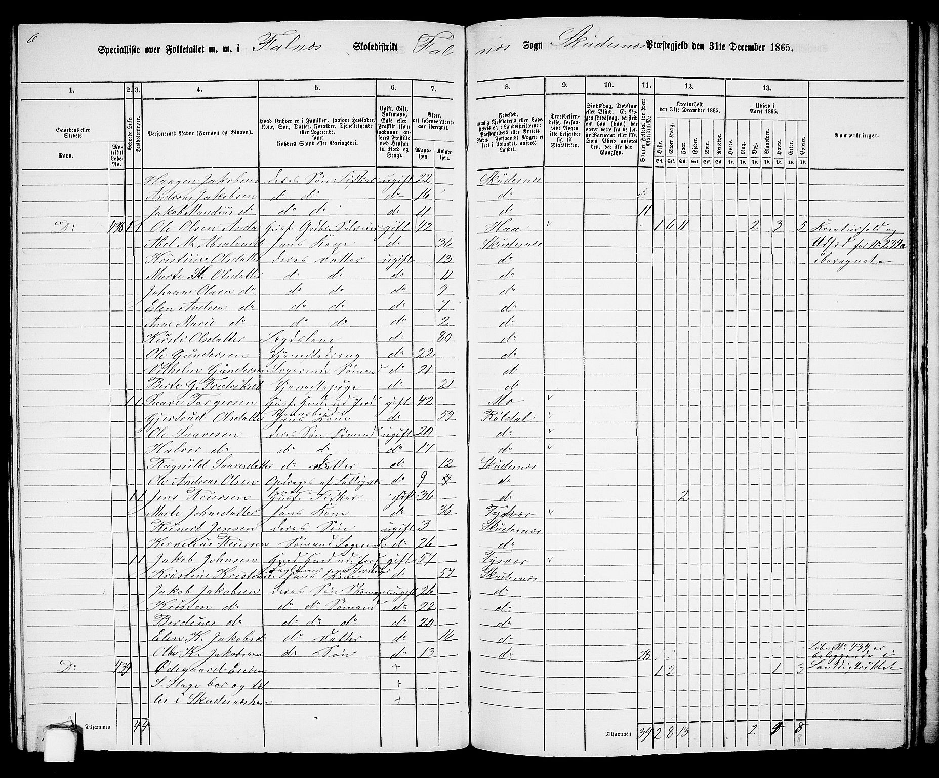 RA, 1865 census for Skudenes, 1865, p. 172