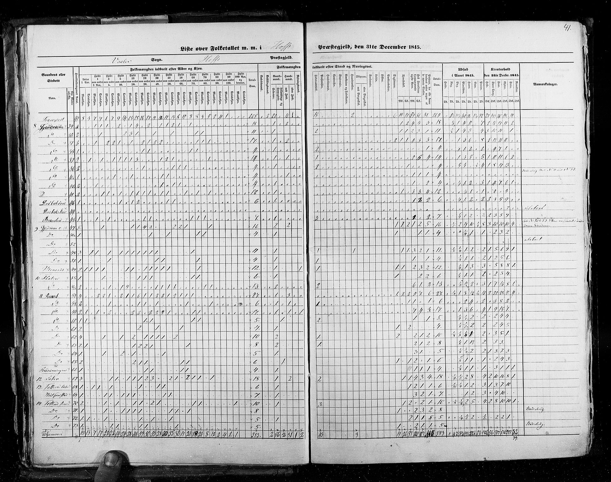 RA, Census 1845, vol. 3: Hedemarken amt og Kristians amt, 1845, p. 41