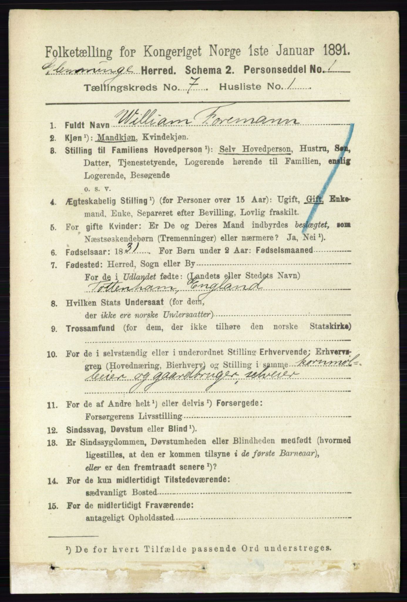 RA, 1891 census for 0132 Glemmen, 1891, p. 9129