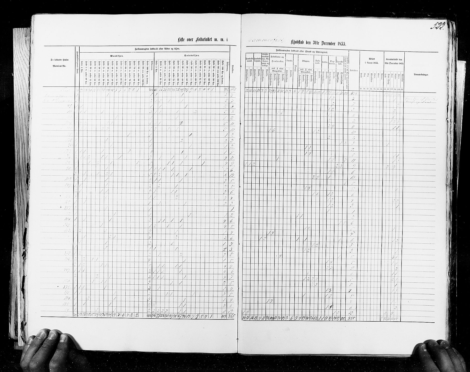 RA, Census 1855, vol. 8: Risør-Vadsø, 1855, p. 523