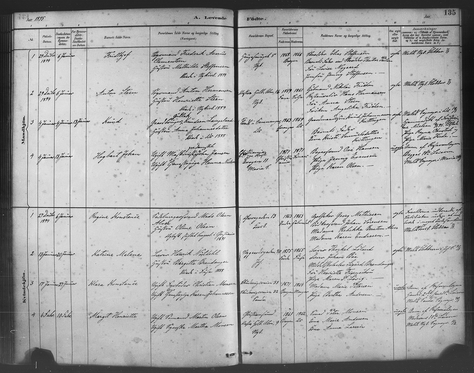 Fødselsstiftelsens sokneprestembete*, SAB/-: Parish register (official) no. A 2, 1884-1900, p. 135