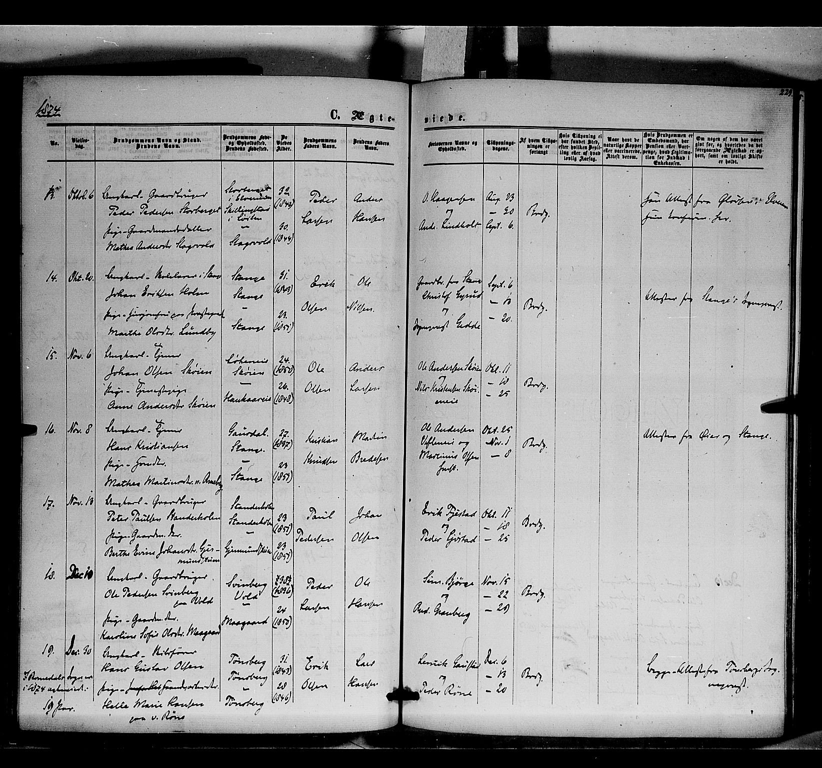 Romedal prestekontor, AV/SAH-PREST-004/K/L0005: Parish register (official) no. 5, 1862-1874, p. 229