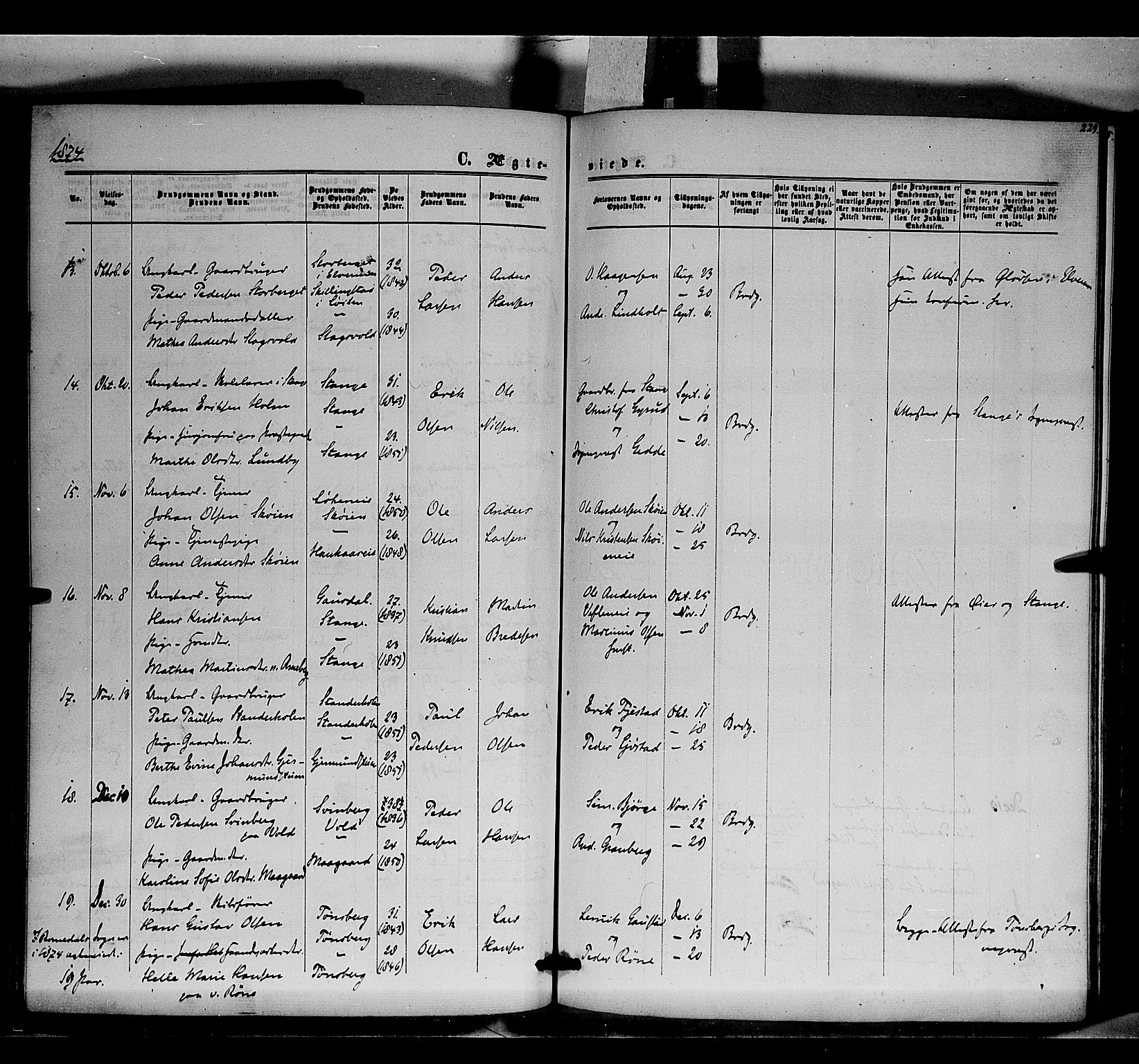 Romedal prestekontor, SAH/PREST-004/K/L0005: Parish register (official) no. 5, 1862-1874, p. 229