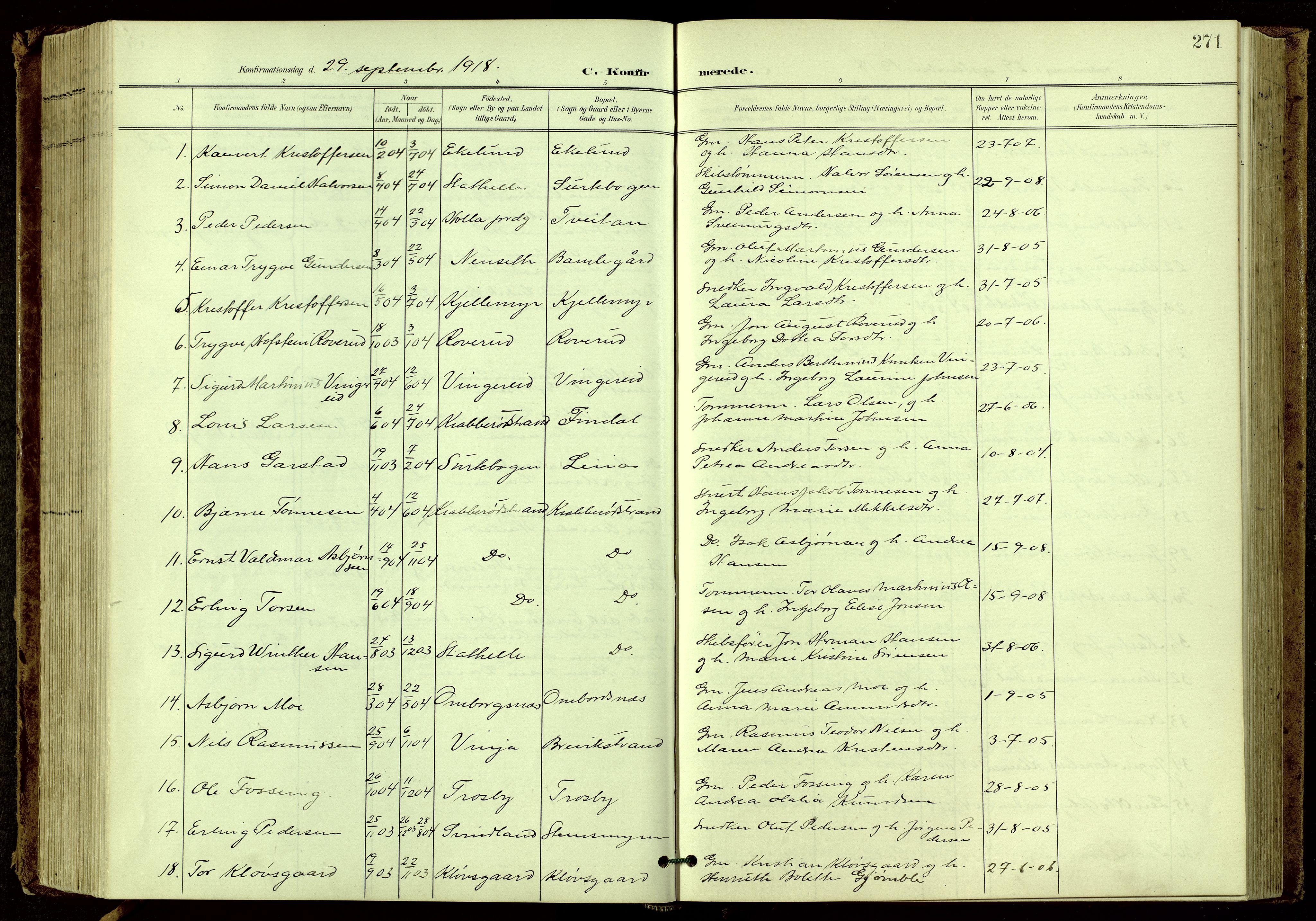 Bamble kirkebøker, SAKO/A-253/G/Ga/L0010: Parish register (copy) no. I 10, 1901-1919, p. 271