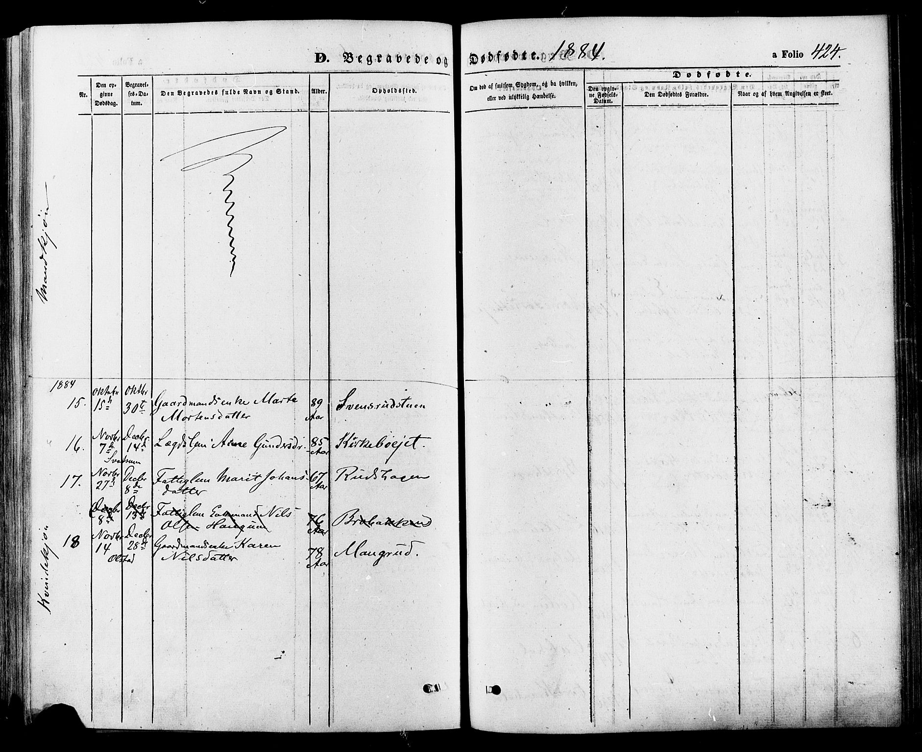 Gausdal prestekontor, SAH/PREST-090/H/Ha/Haa/L0010: Parish register (official) no. 10, 1867-1886, p. 424