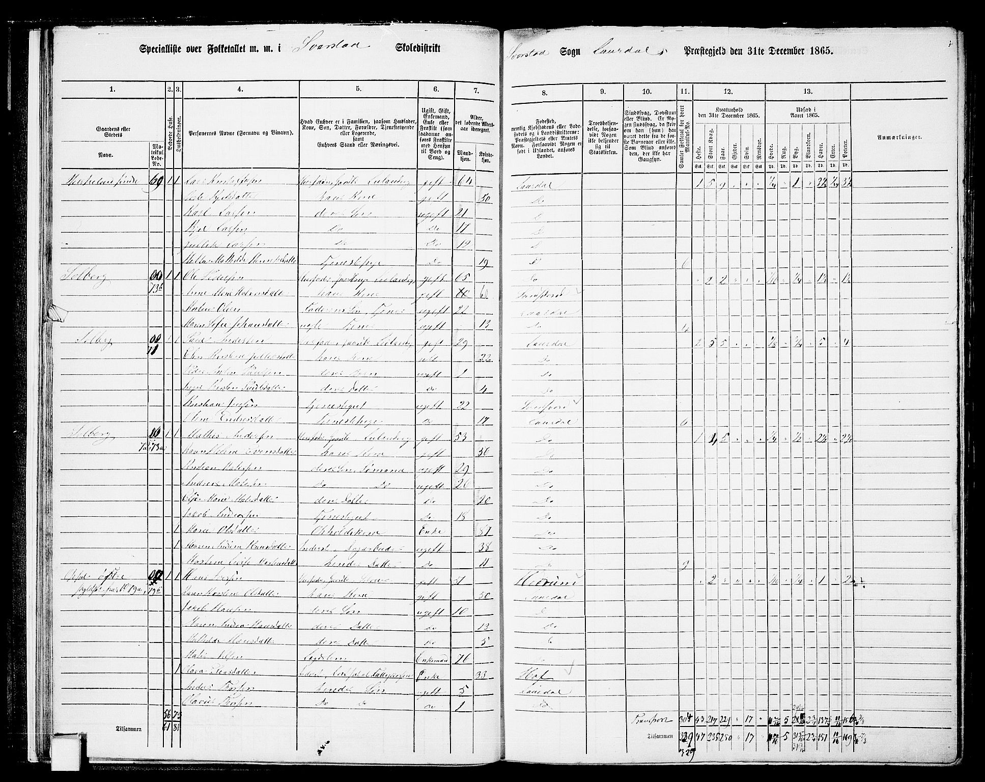 RA, 1865 census for Lardal, 1865, p. 20