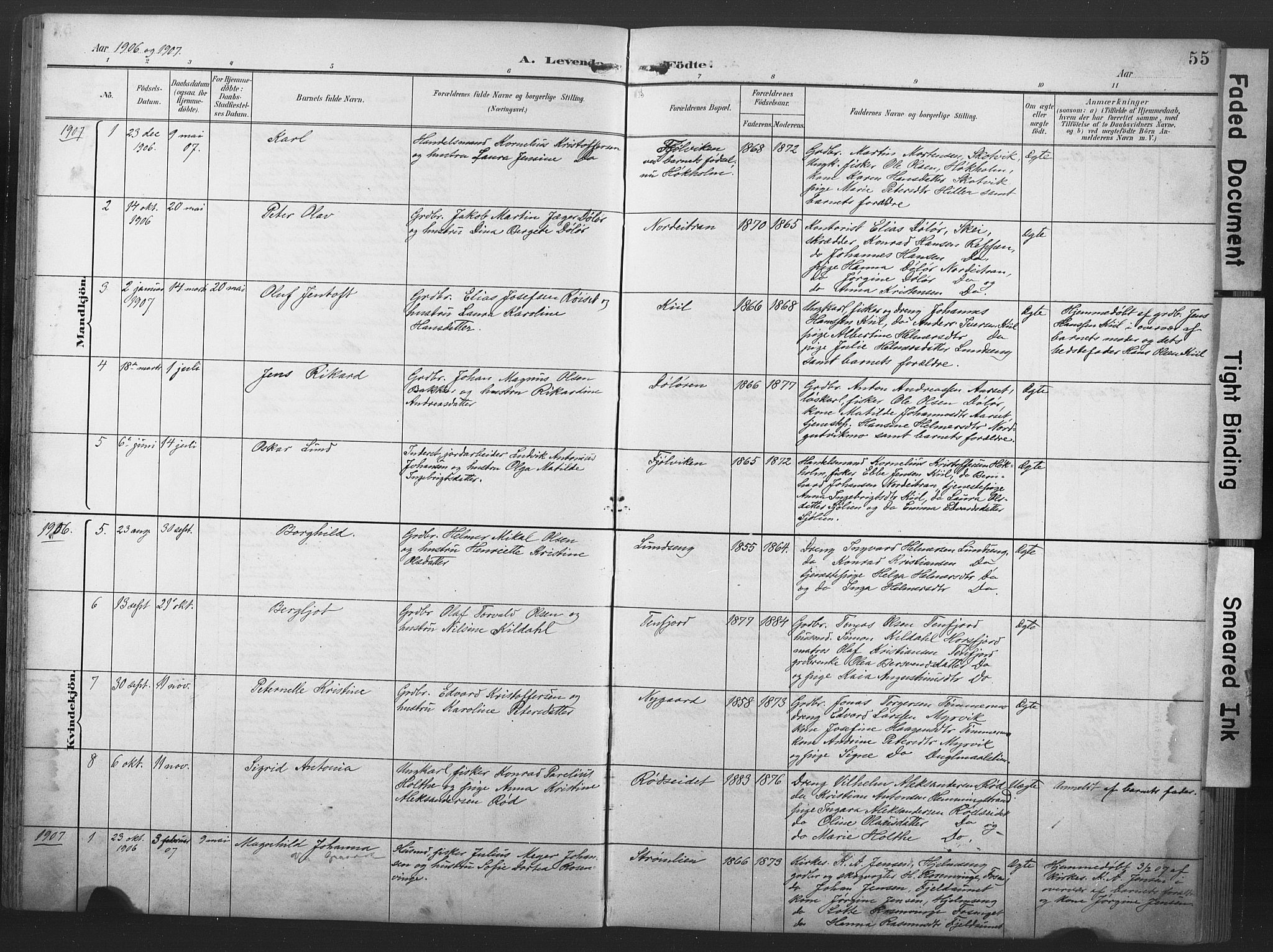 Ministerialprotokoller, klokkerbøker og fødselsregistre - Nord-Trøndelag, SAT/A-1458/789/L0706: Parish register (copy) no. 789C01, 1888-1931, p. 55