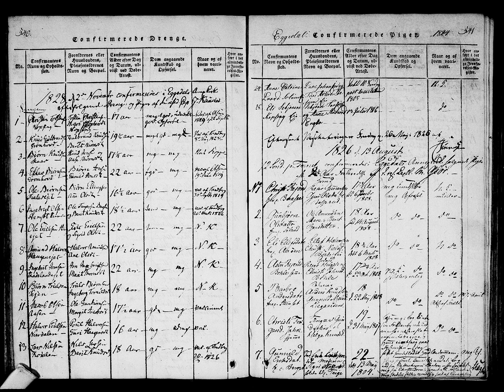 Sigdal kirkebøker, SAKO/A-245/F/Fa/L0005: Parish register (official) no. I 5 /2, 1815-1829, p. 540-541