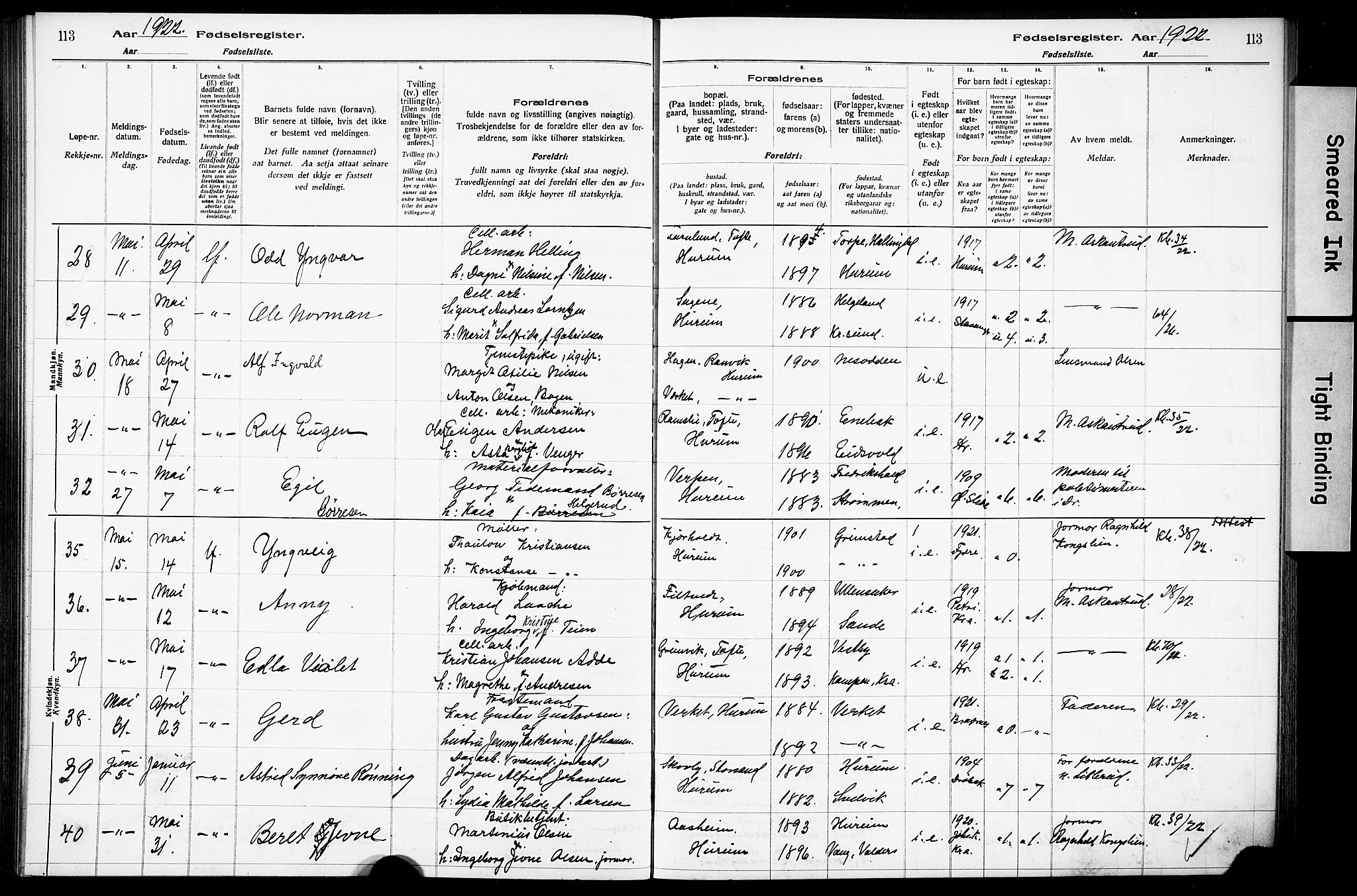 Hurum kirkebøker, SAKO/A-229/J/Ja/L0001: Birth register no. 1, 1916-1928, p. 113