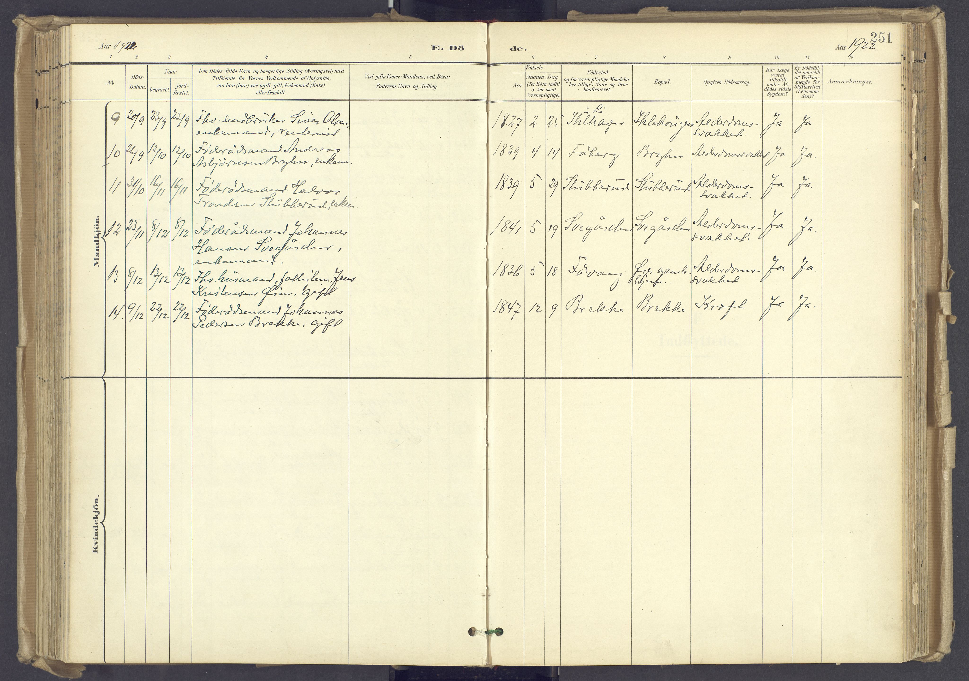 Øyer prestekontor, AV/SAH-PREST-084/H/Ha/Haa/L0012: Parish register (official) no. 12, 1897-1920, p. 251