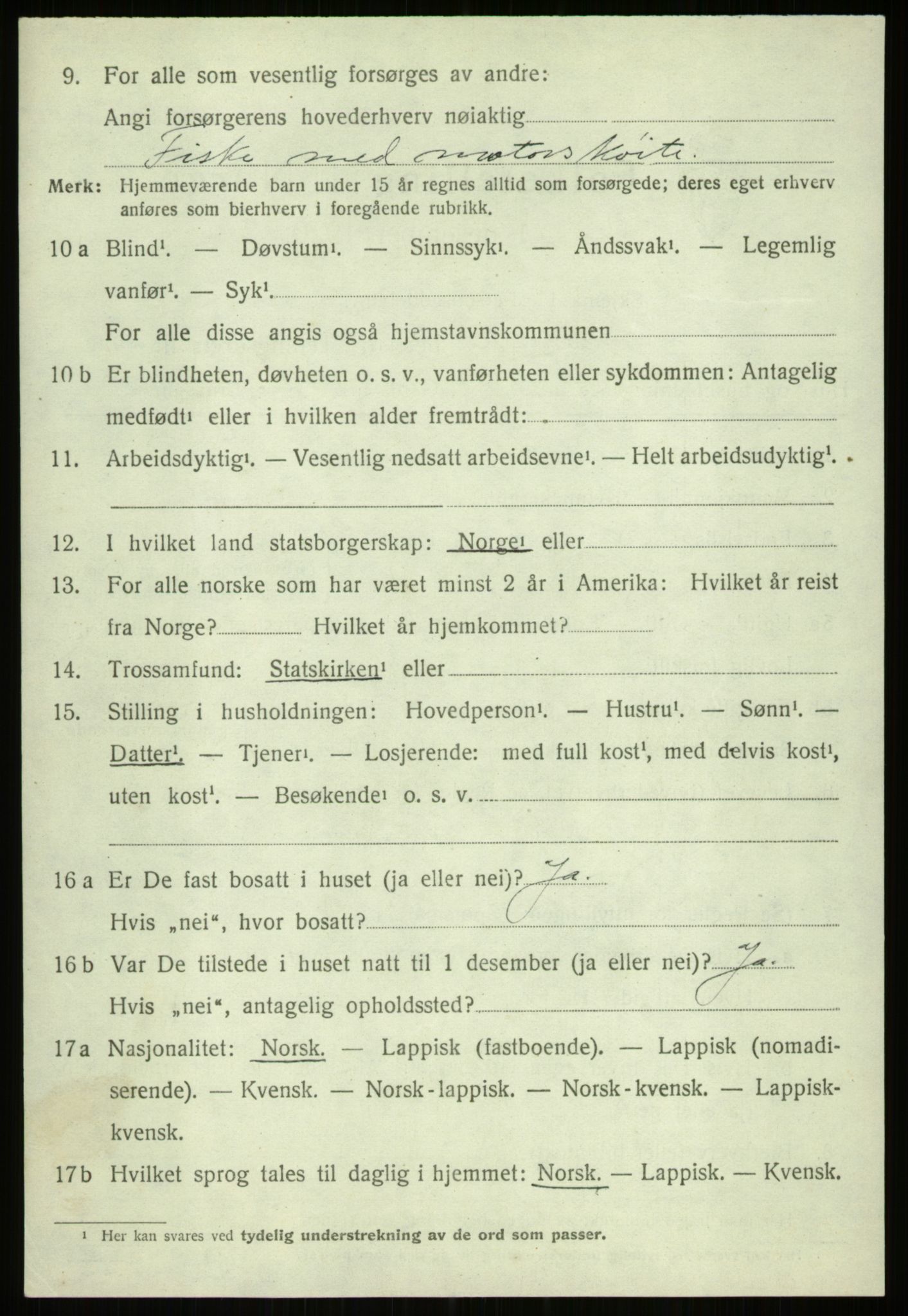 SATØ, 1920 census for Ibestad, 1920, p. 11795