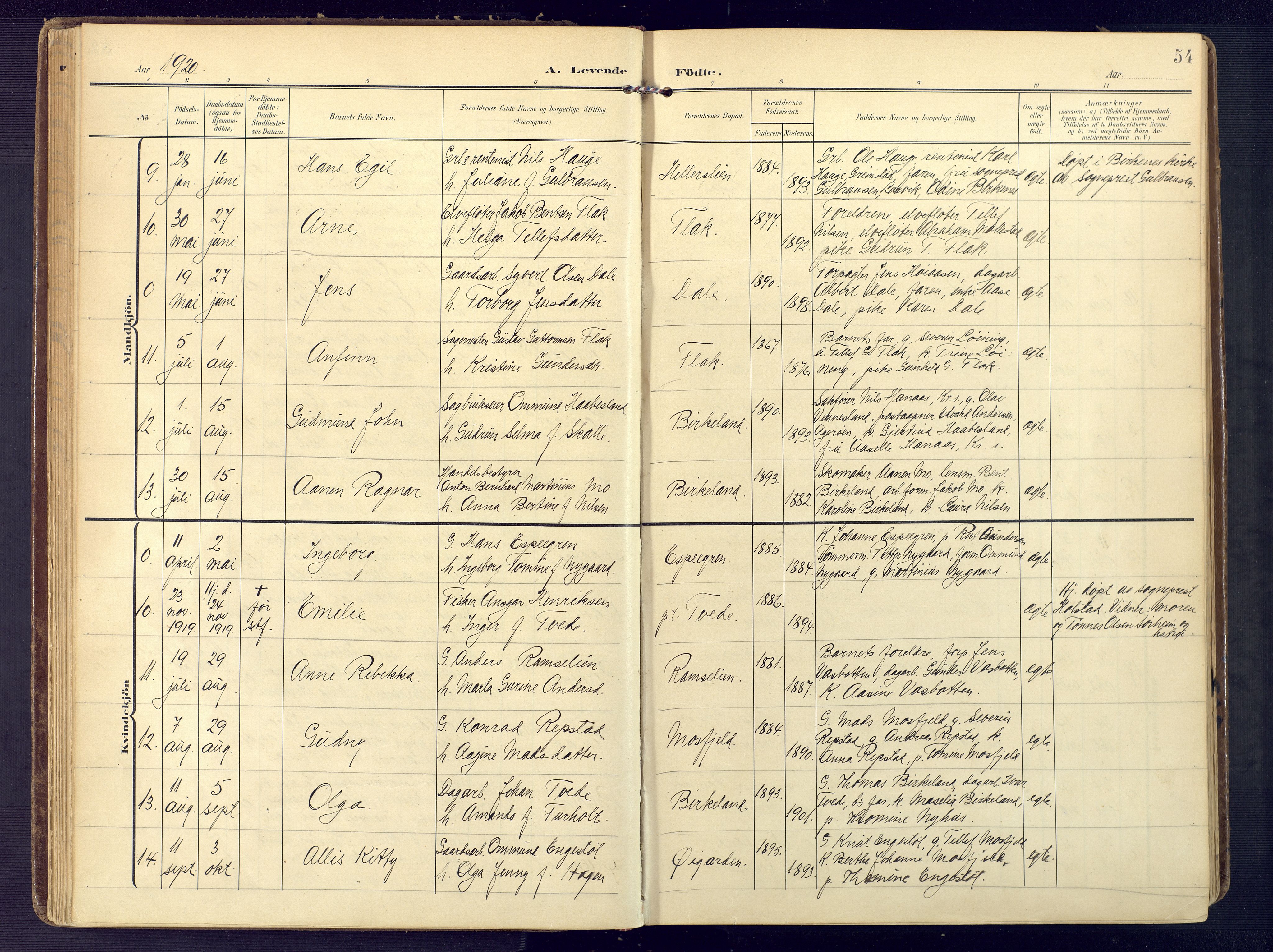 Birkenes sokneprestkontor, AV/SAK-1111-0004/F/Fa/L0006: Parish register (official) no. A 6, 1908-1932, p. 54