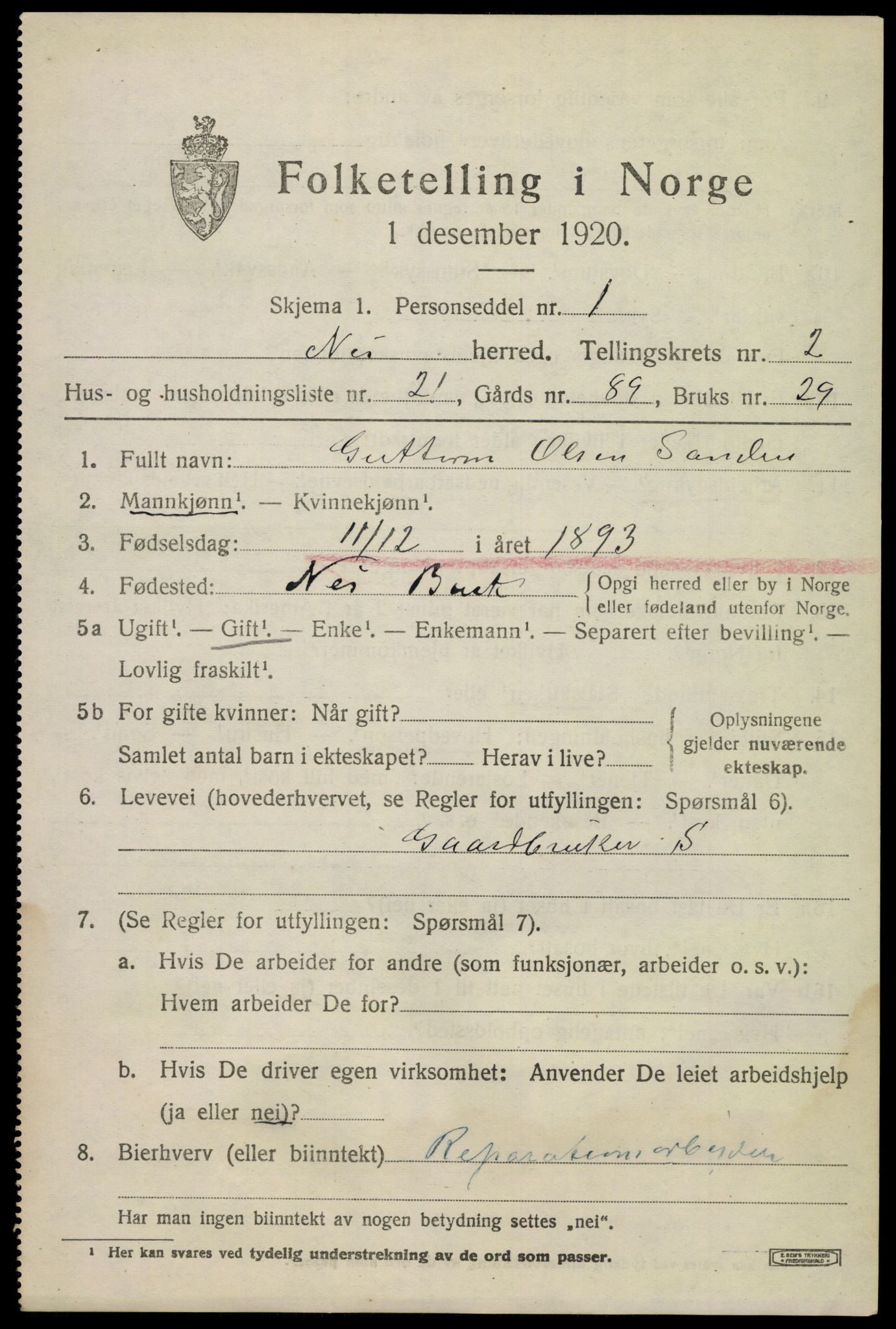 SAKO, 1920 census for Nes (Buskerud), 1920, p. 1484