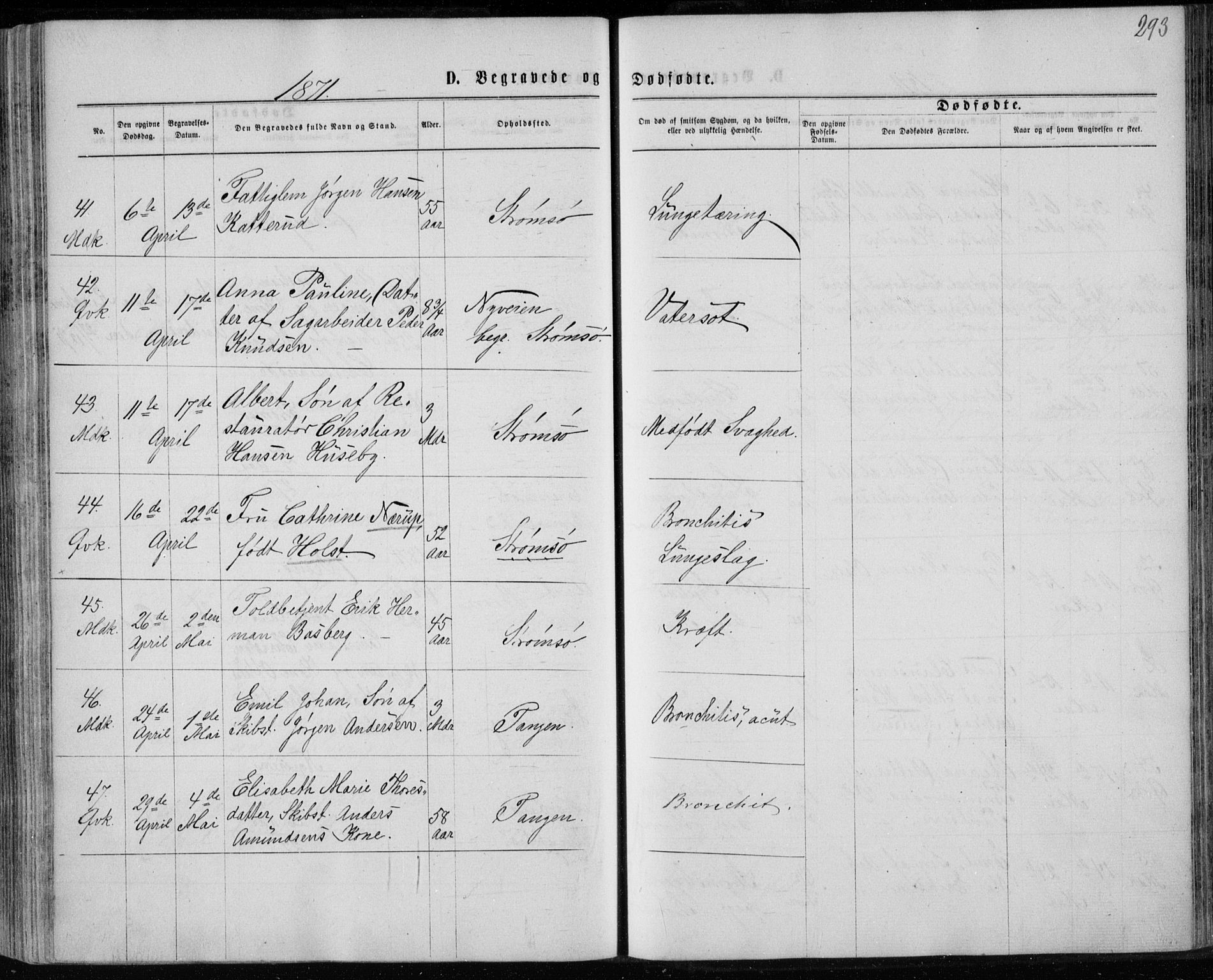 Strømsø kirkebøker, SAKO/A-246/F/Fa/L0016: Parish register (official) no. I 16, 1868-1873, p. 293