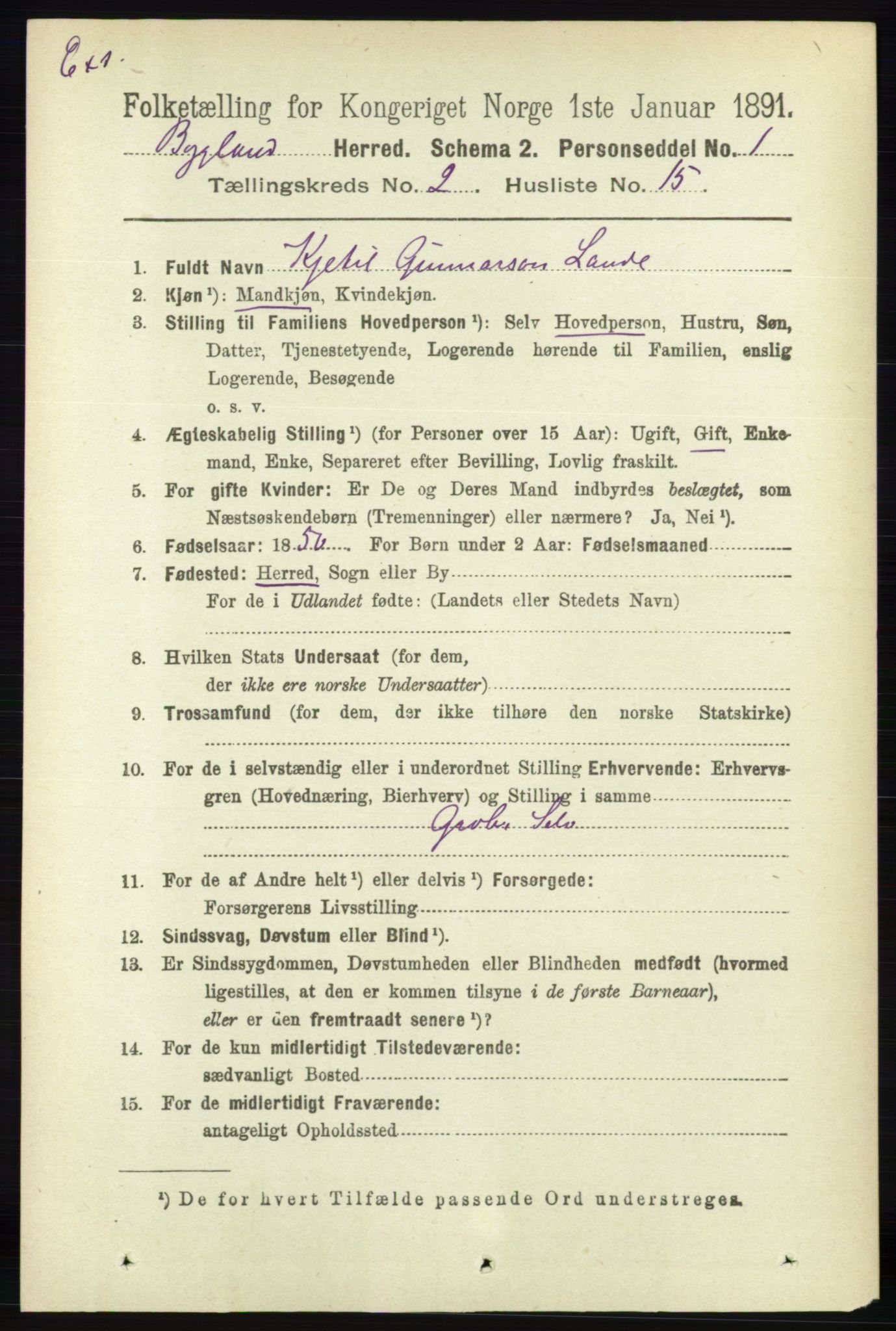 RA, Census 1891 for Nedenes amt: Gjenparter av personsedler for beslektede ektefeller, menn, 1891, p. 1018