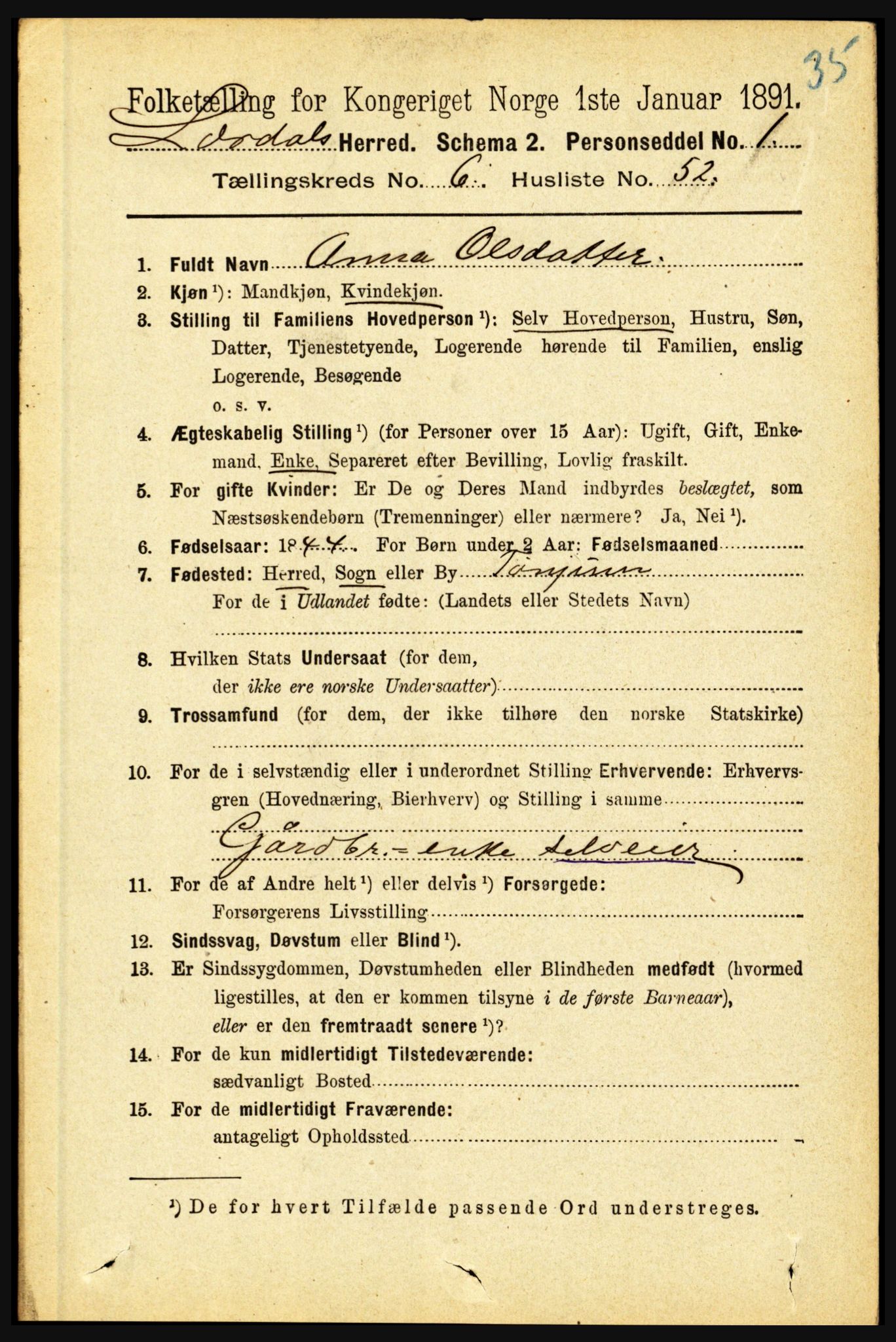 RA, 1891 census for 1422 Lærdal, 1891, p. 729